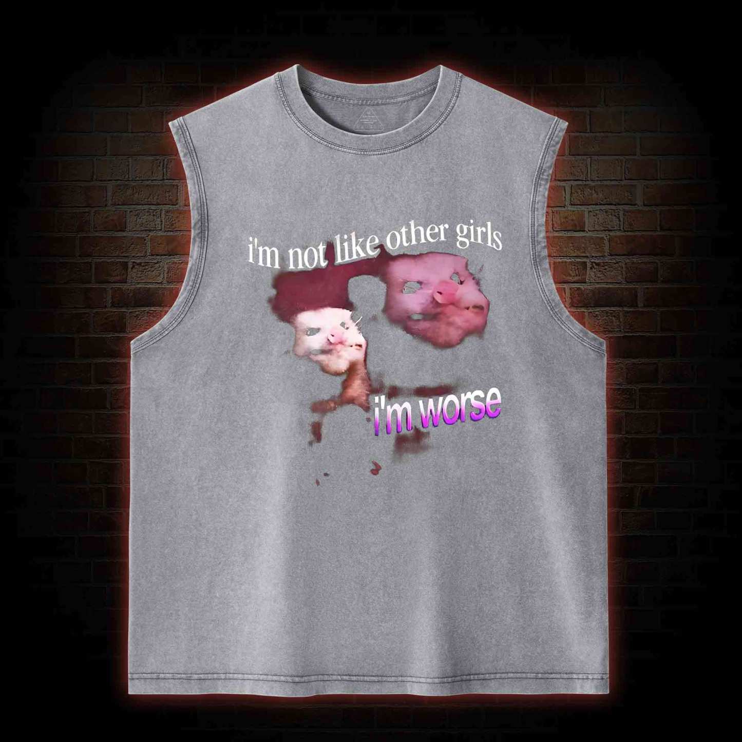 I'm Not Like Other Girls I'm Worse Washed Tank Top
