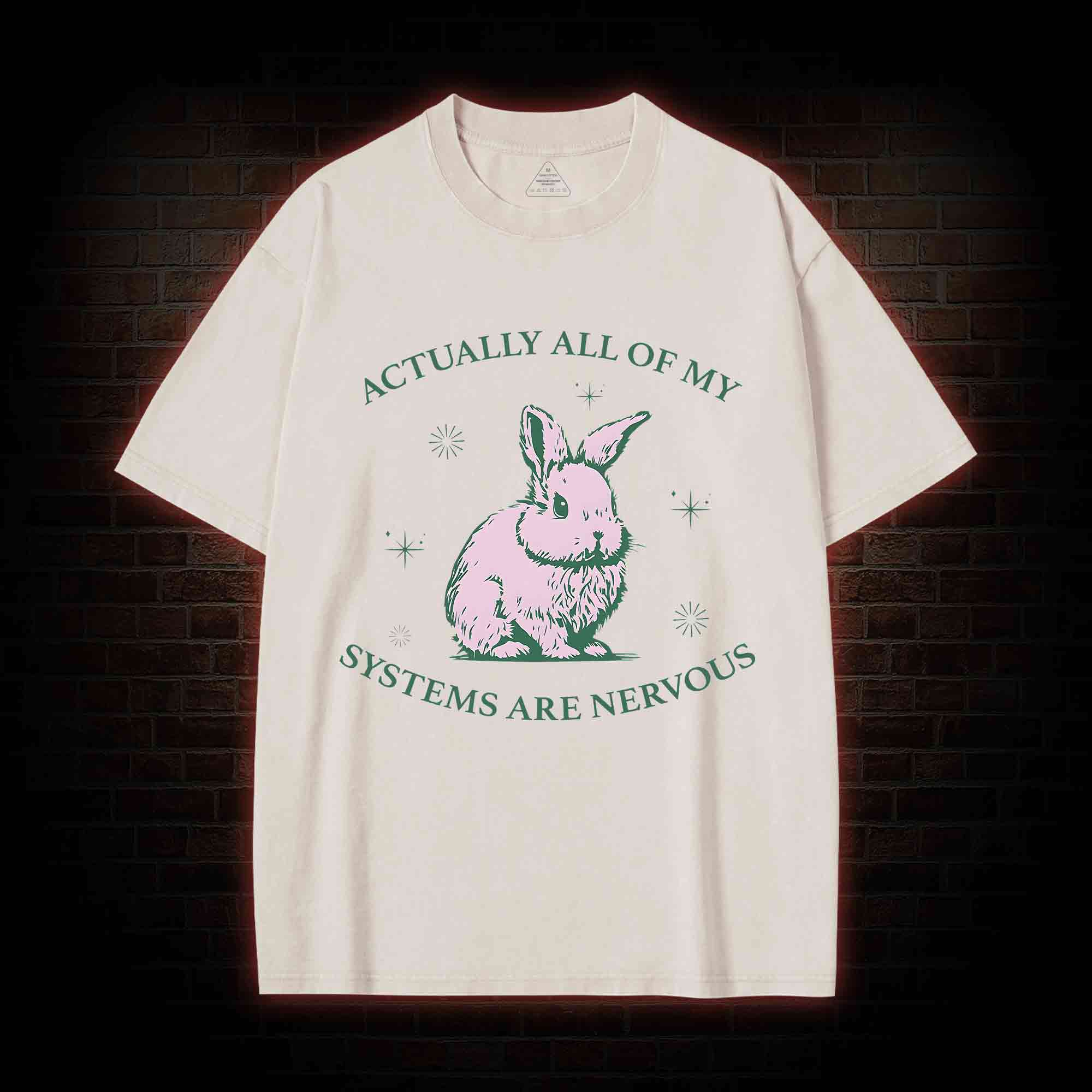 Actually All Of My Systems Are Nervous Washed T-shirt