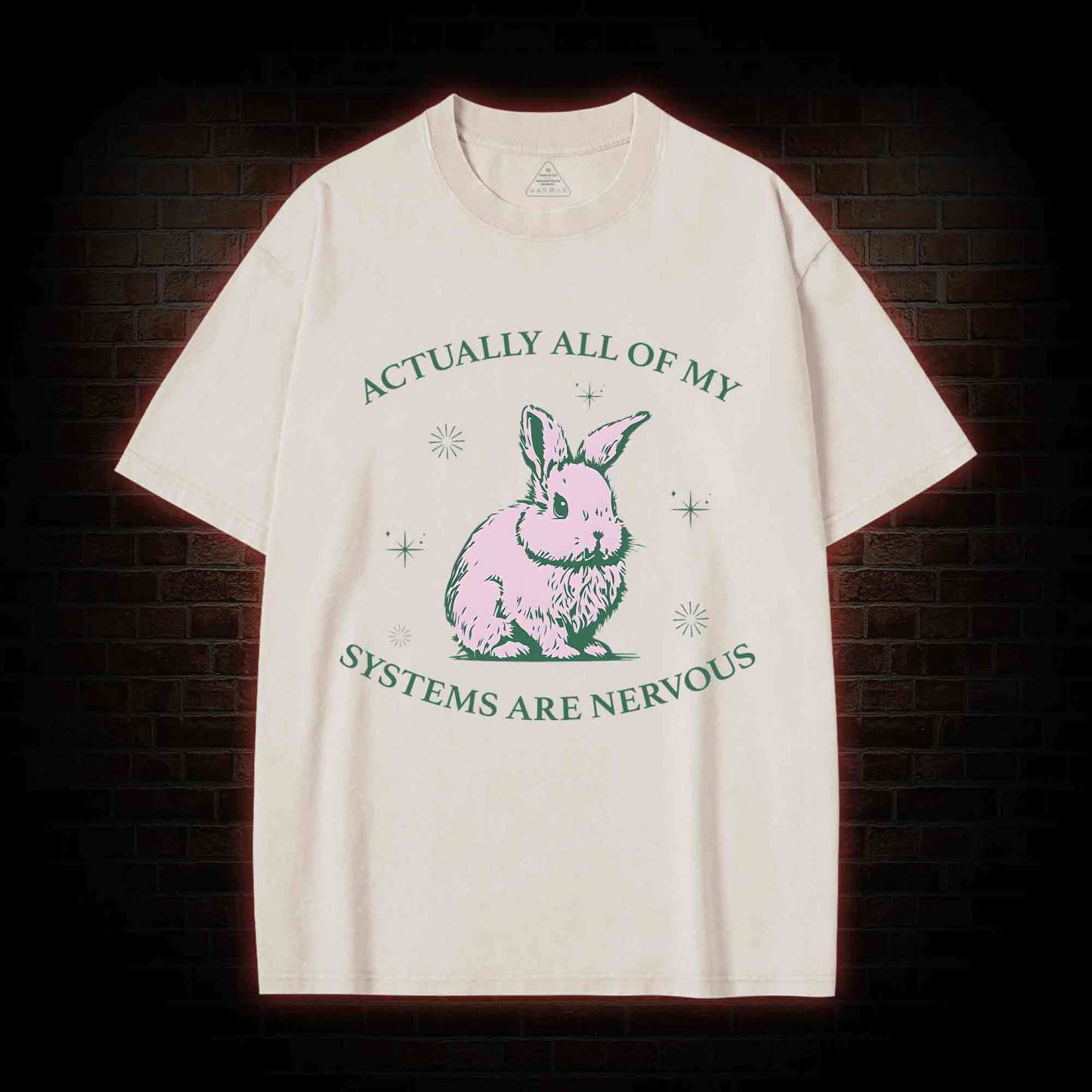 Actually All Of My Systems Are Nervous Washed T-shirt