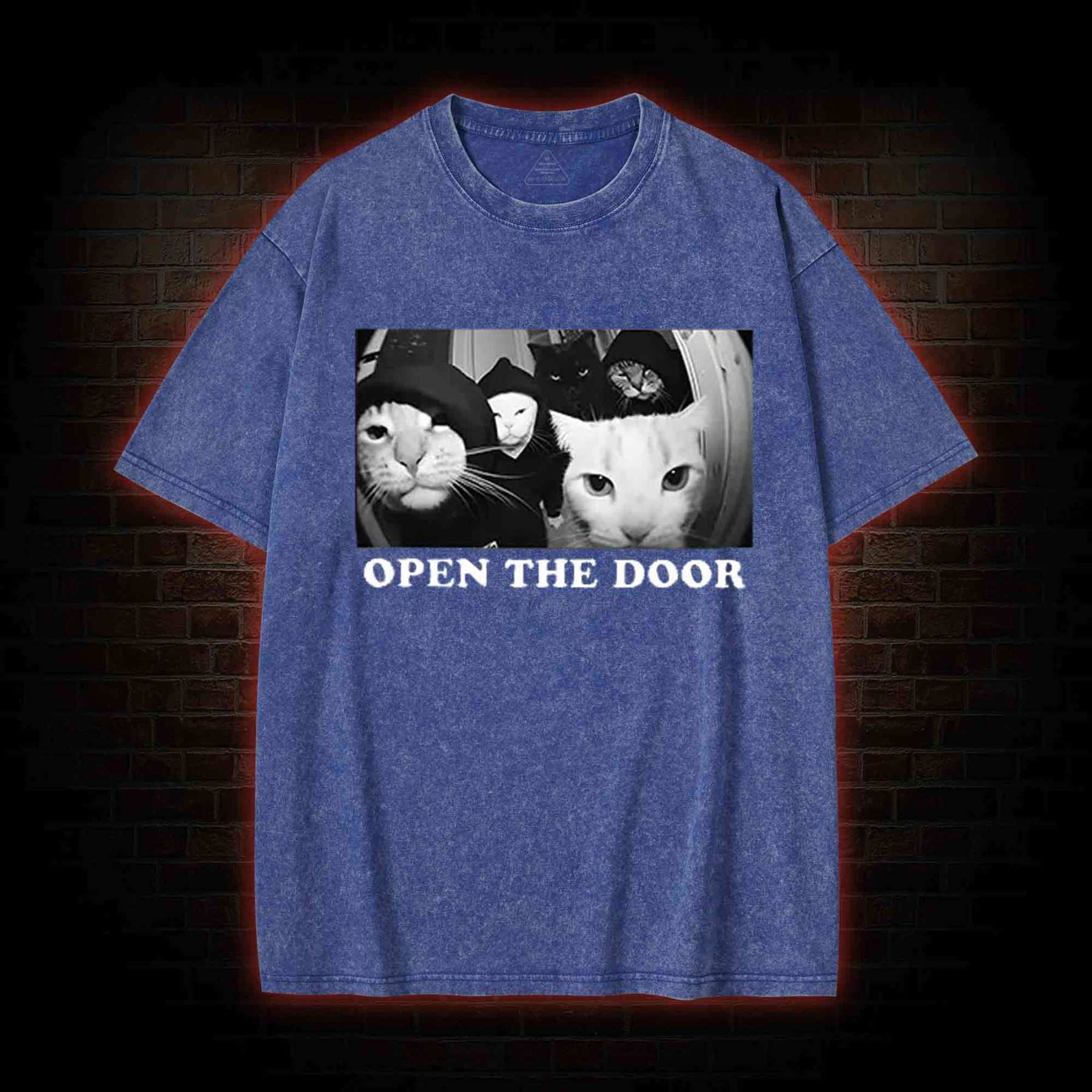 Cats Open Door Washed T-shirt