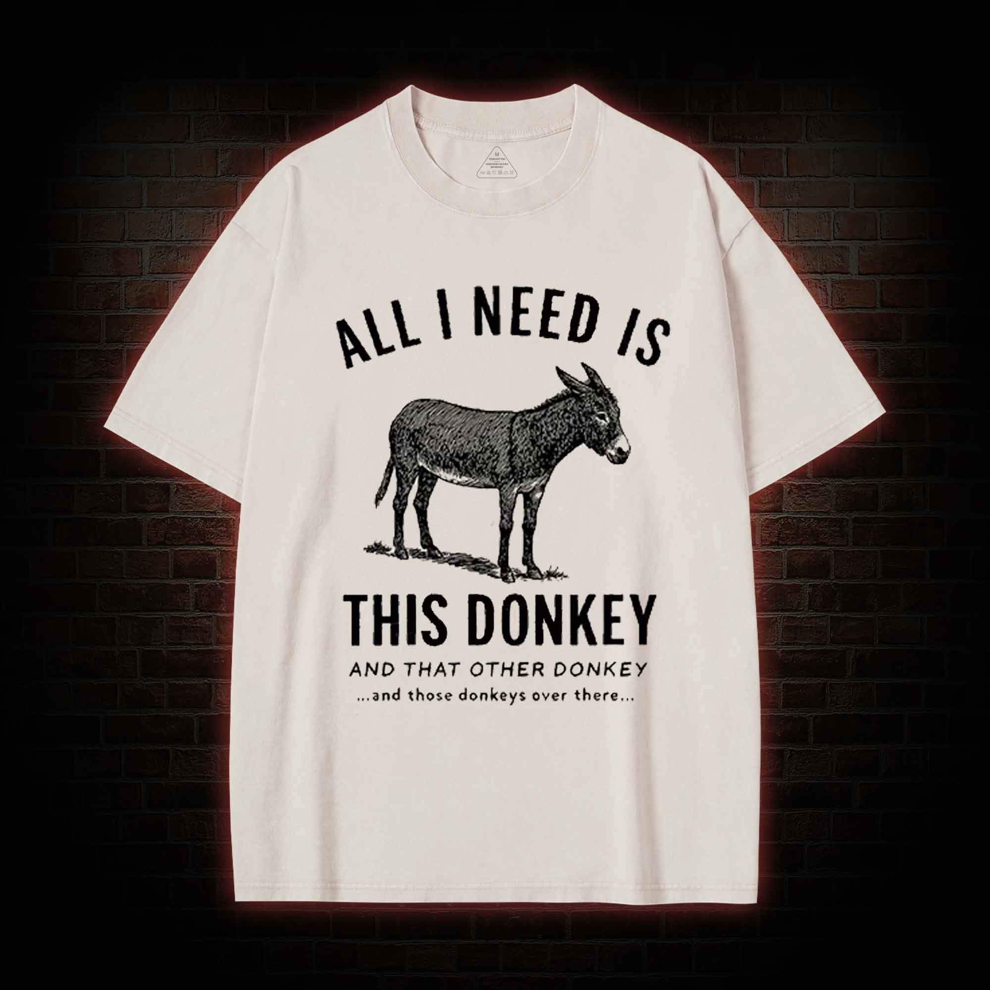 All I Need is This Donkey Washed T-shirt