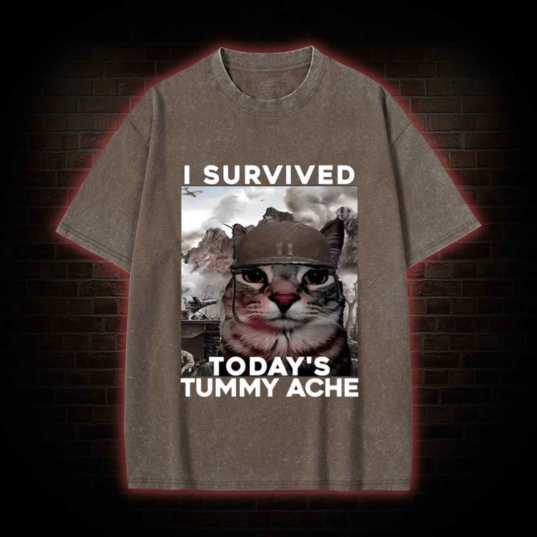 I Survived Today's Tummy Ache Washed T-shirt