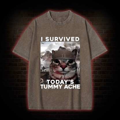 I Survived Today's Tummy Ache Washed T-shirt