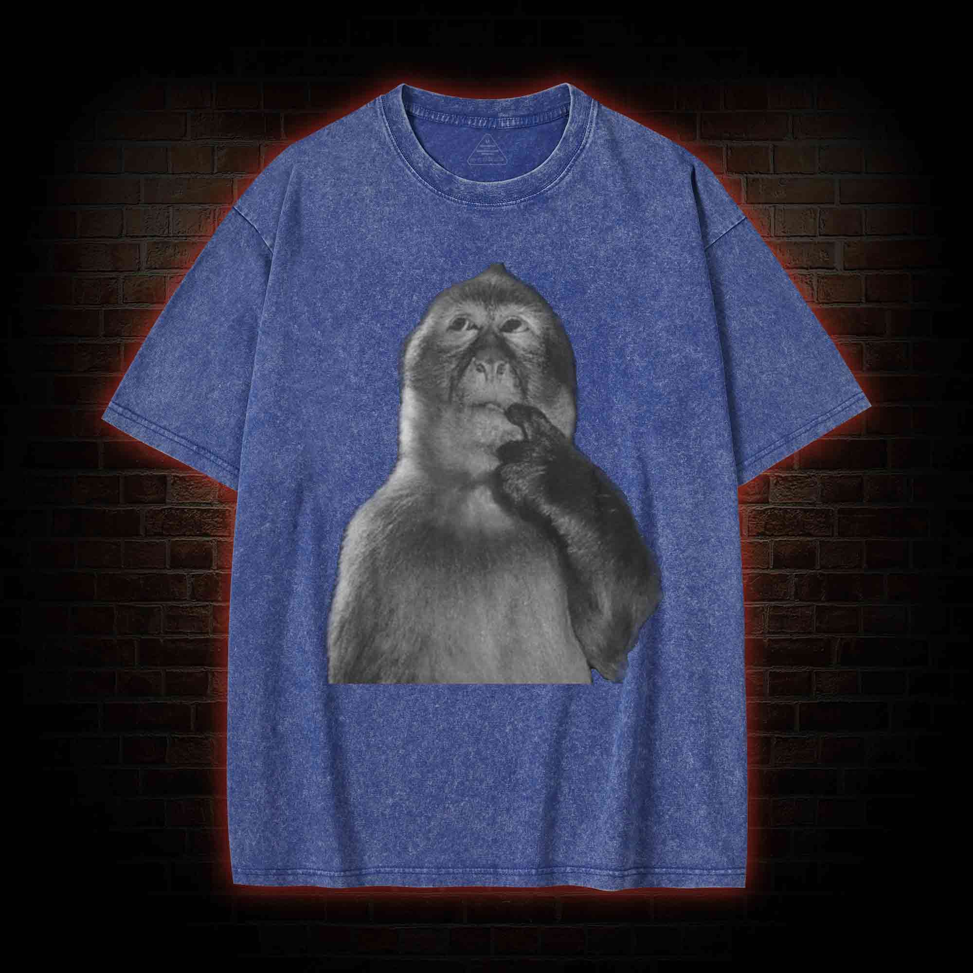 Funny Monkey Washed T-shirt