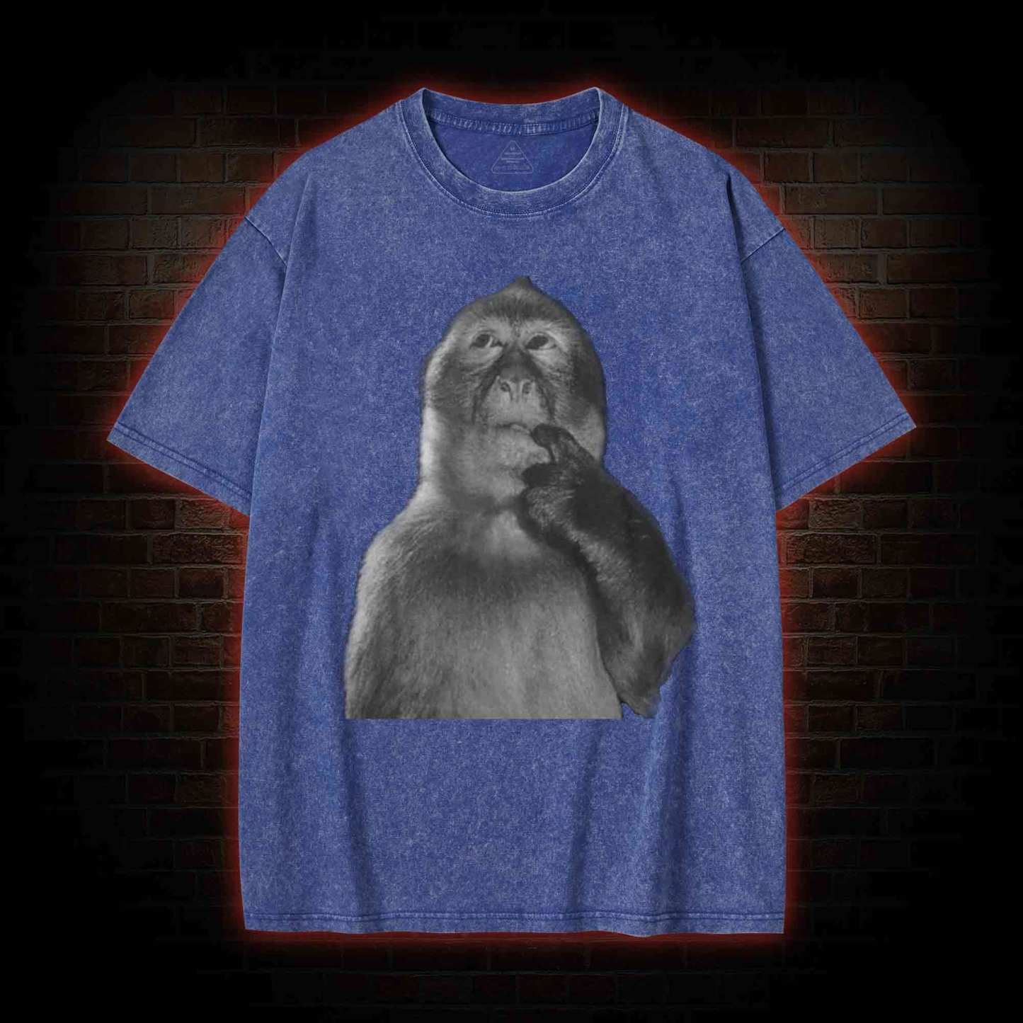 Funny Monkey Washed T-shirt