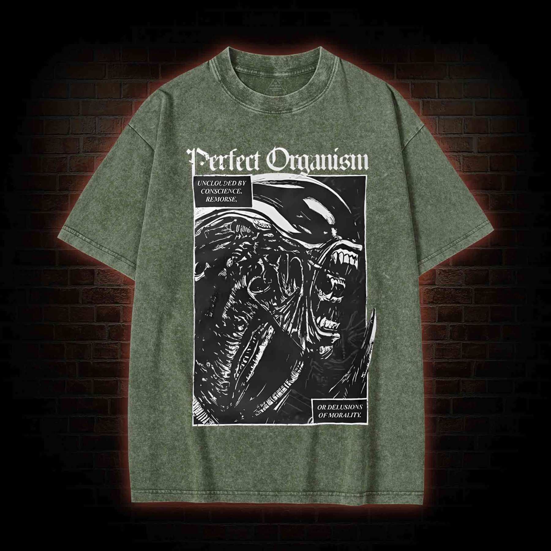 Alien Perfect Organism Washed T-shirt