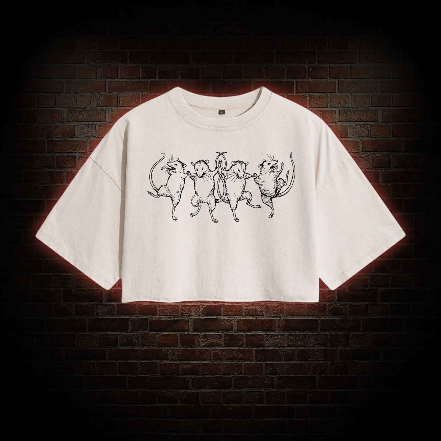Dancing Rats Washed Cropped T-shirts