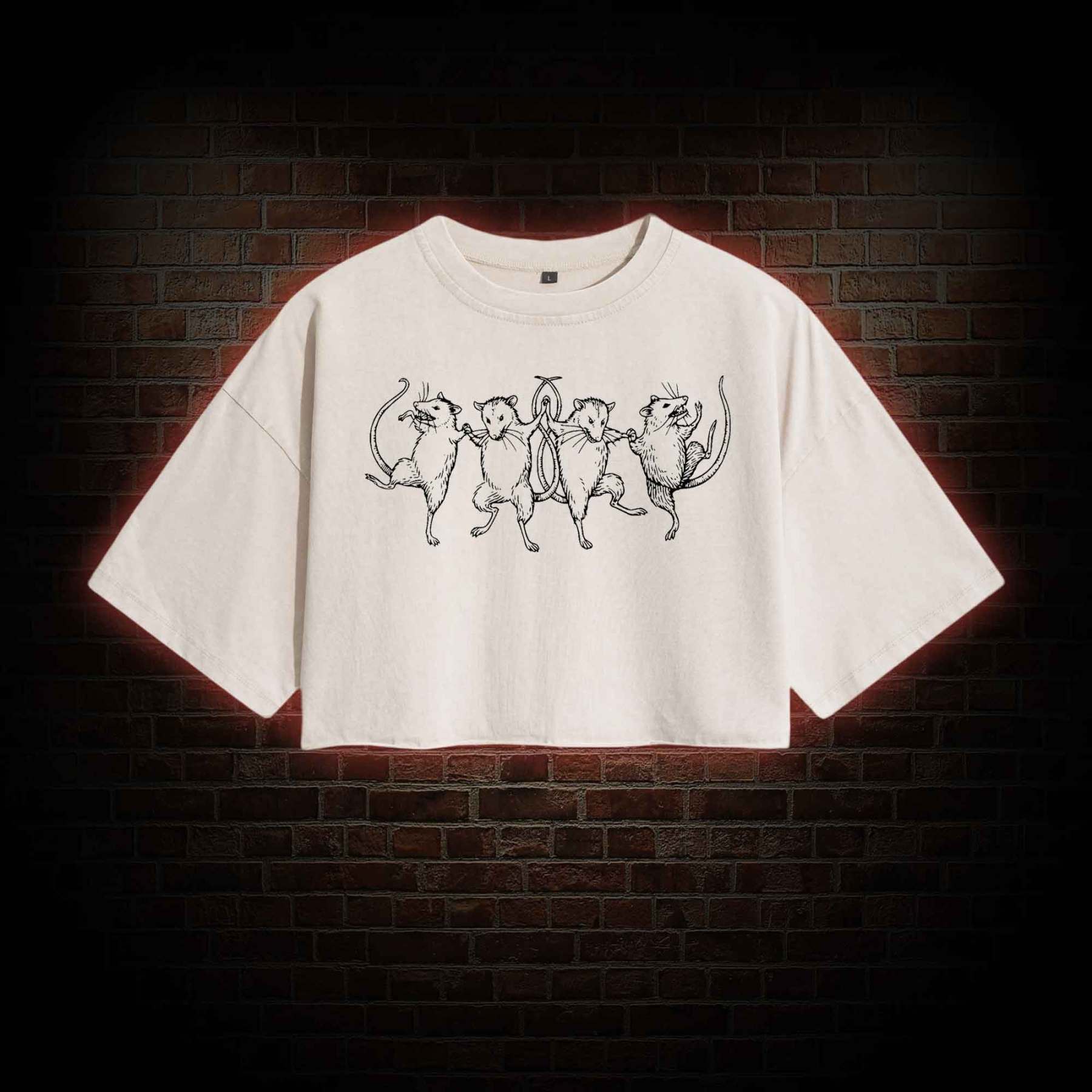 Dancing Rats Washed Cropped T-shirts