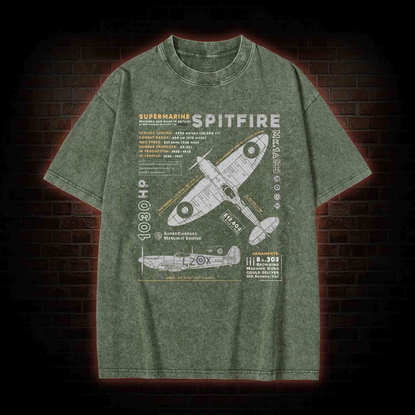 Royal Air Force Marlin Figher Washed T-shirt