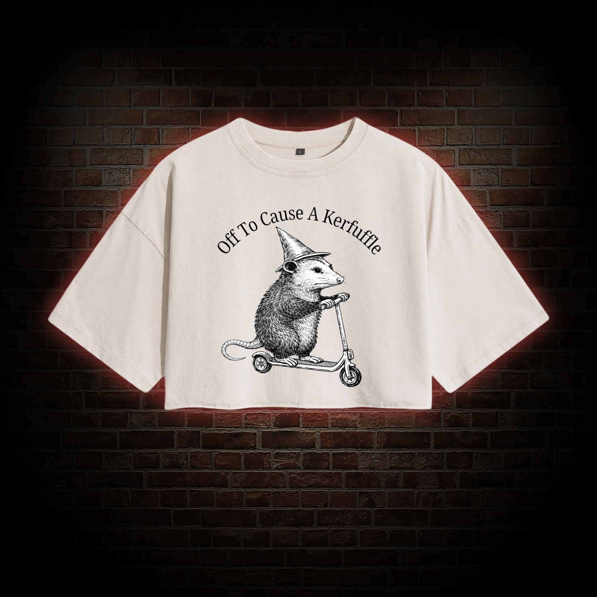 Cause a Kerfuffle Washed Cropped T-shirts