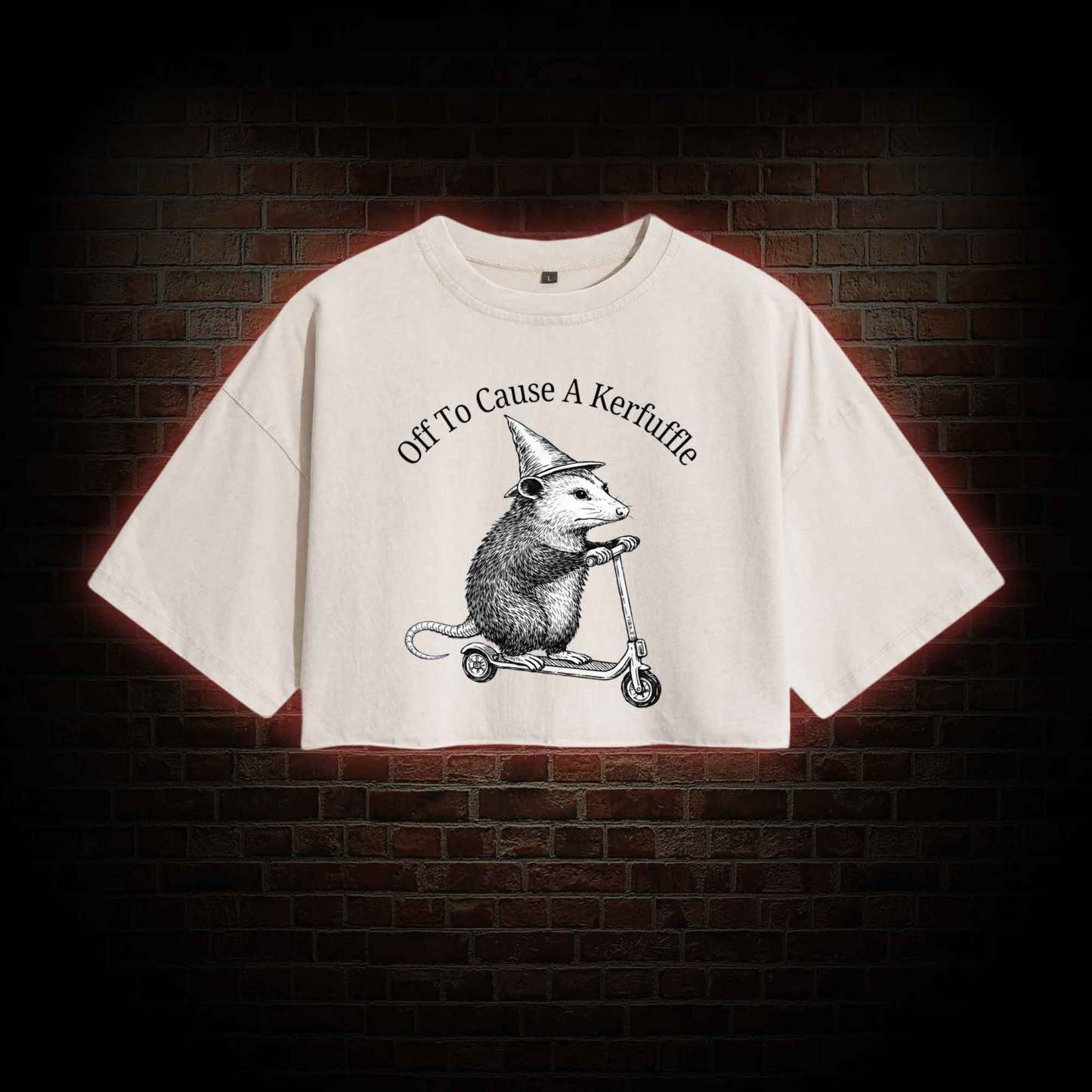 Cause a Kerfuffle Washed Cropped T-shirts