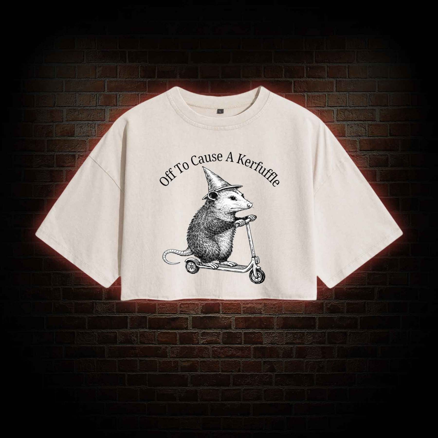 Cause a Kerfuffle Washed Cropped T-shirts