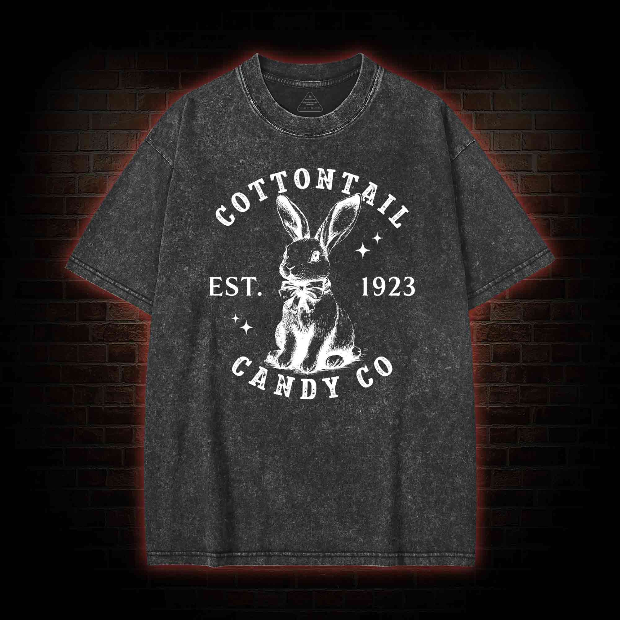 Easter Day Washed T-shirt