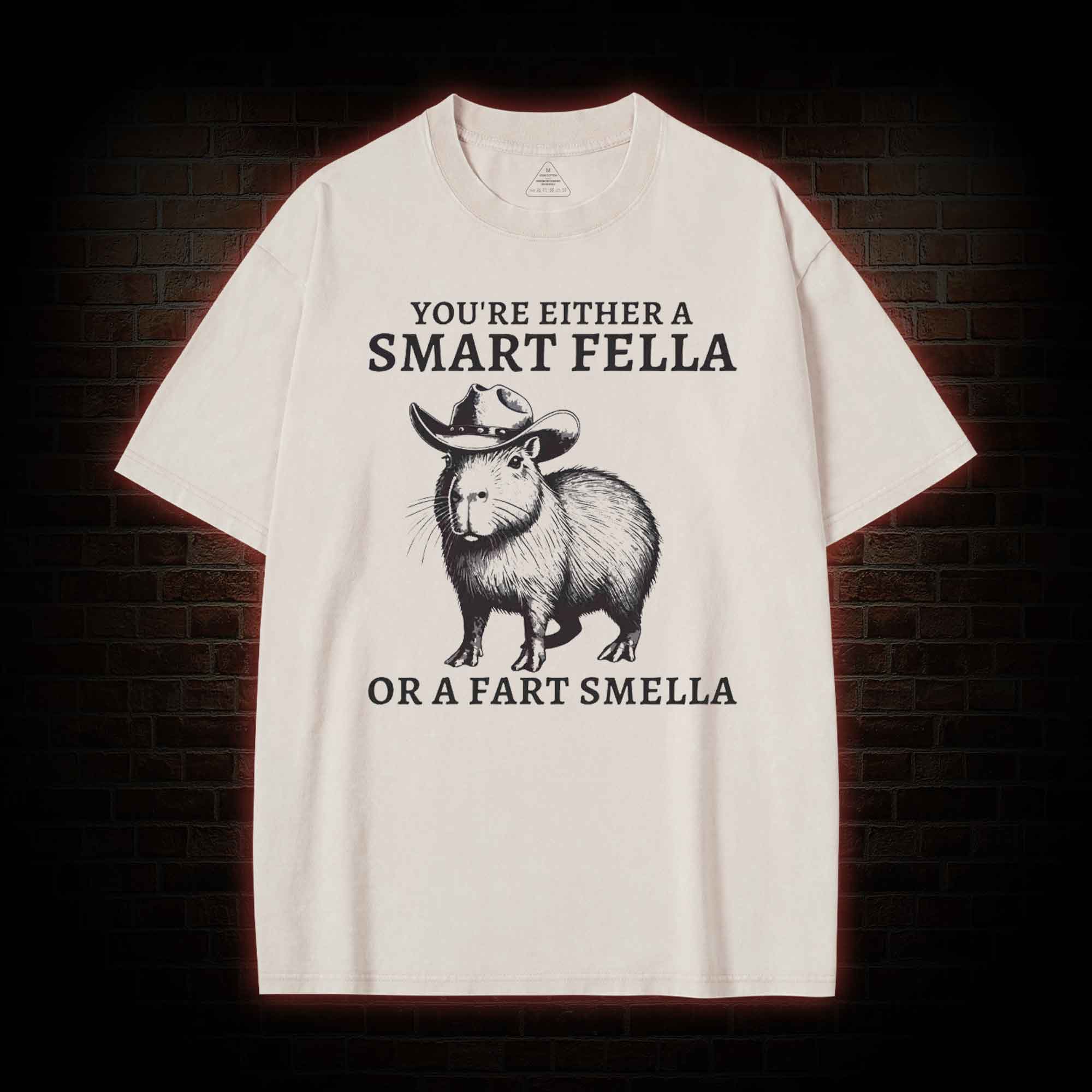 Smart Fella Capybara Washed T-shirt