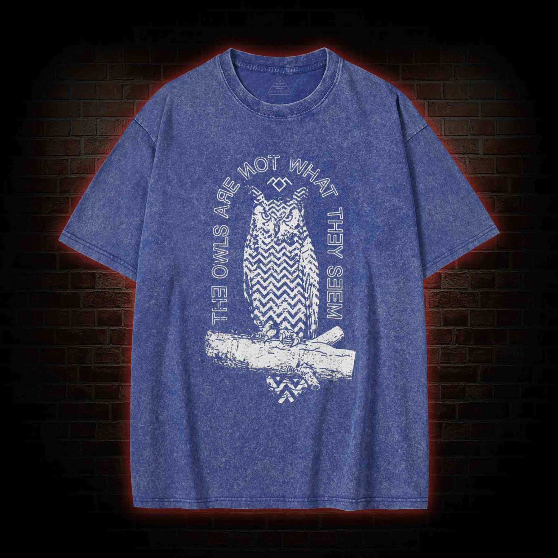 The Owls Are Not What They Seem Washed T-shirt