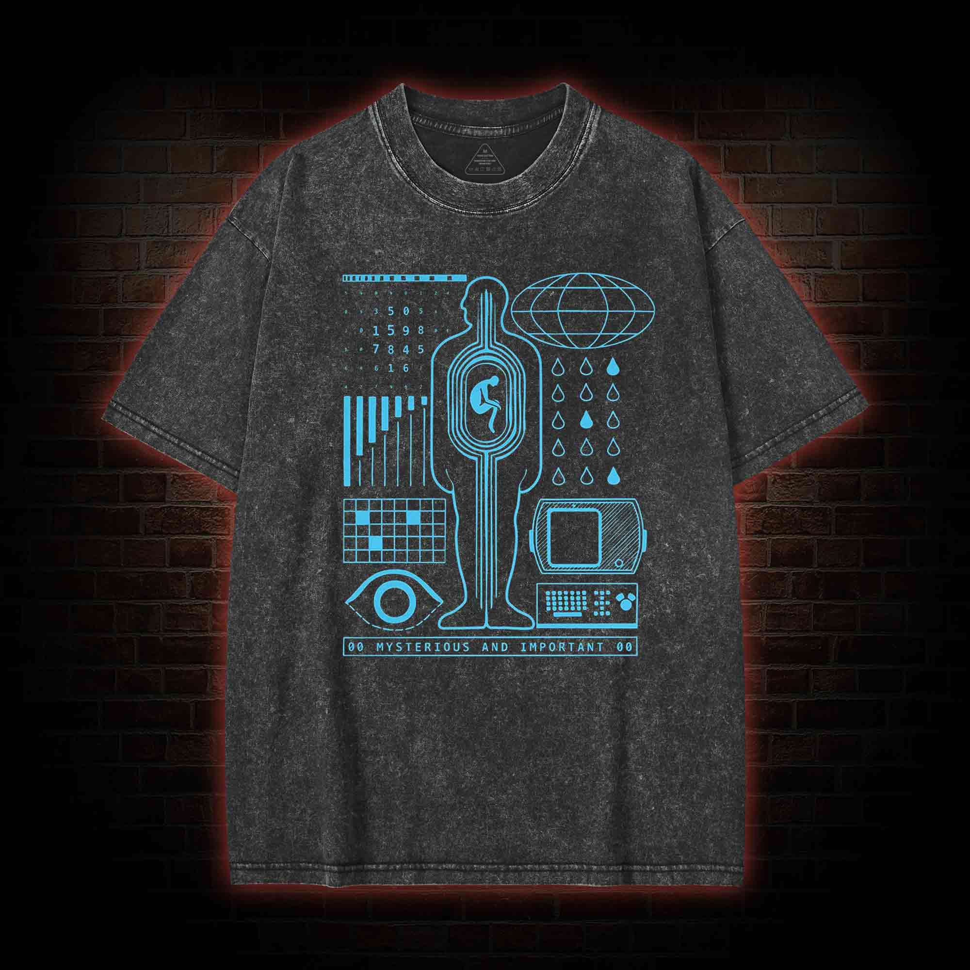  Mysterious and Important Washed T-shirt