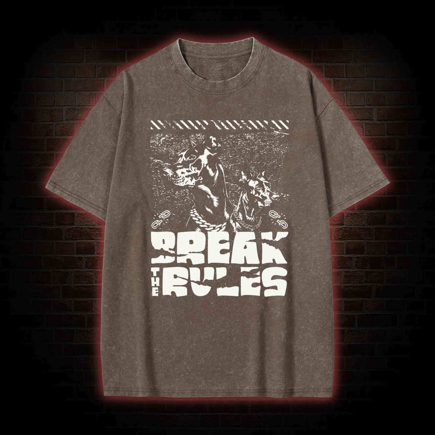 Break the Rules Washed T-shirt