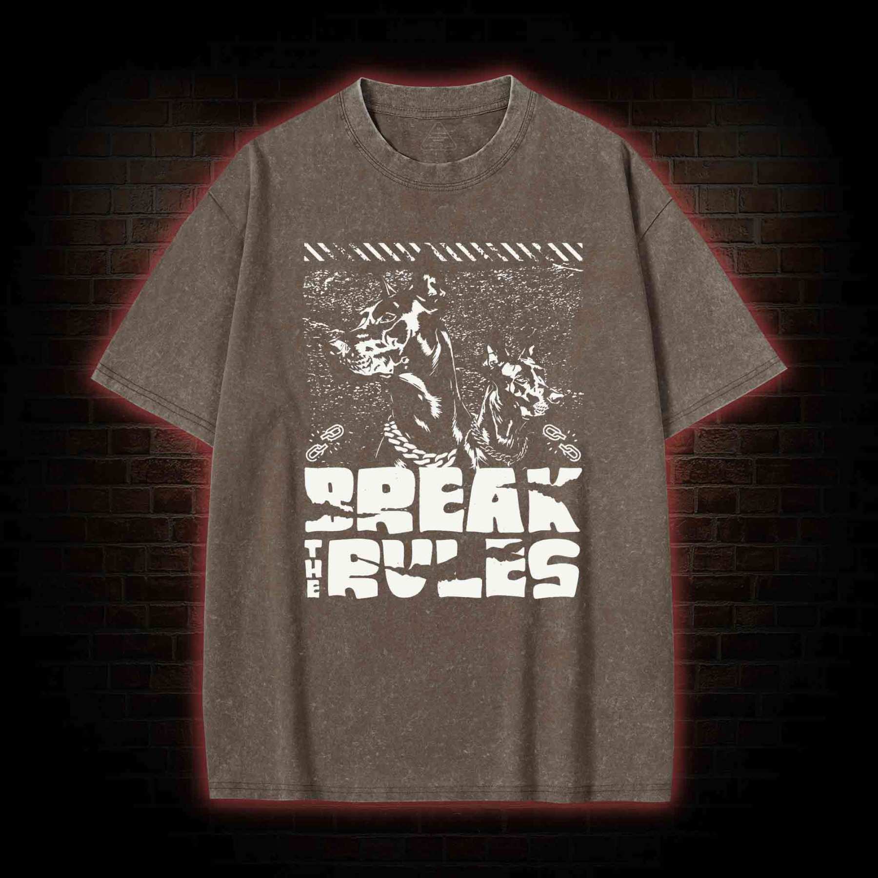 Break the Rules Washed T-shirt