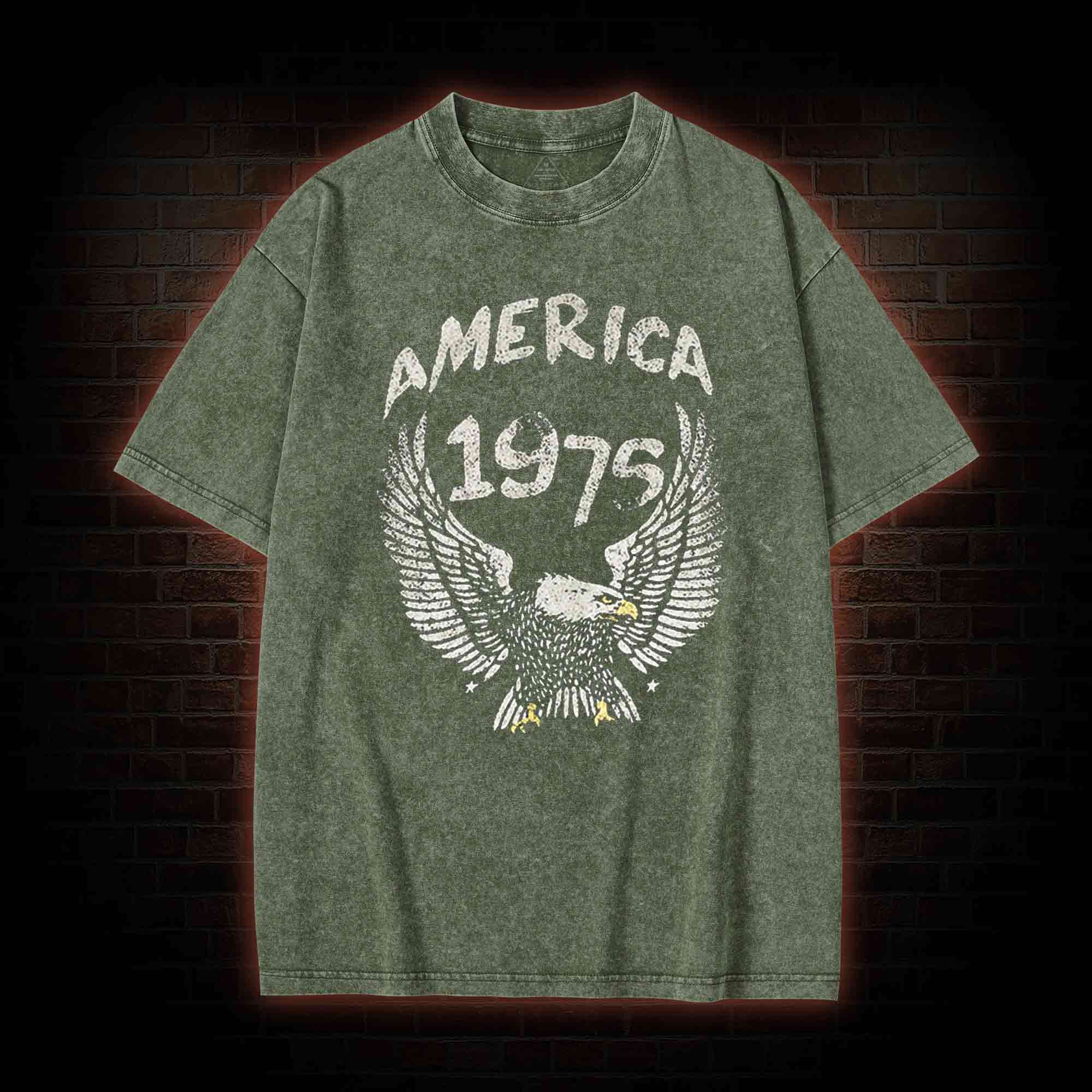 America 1975 Washed T-shirt