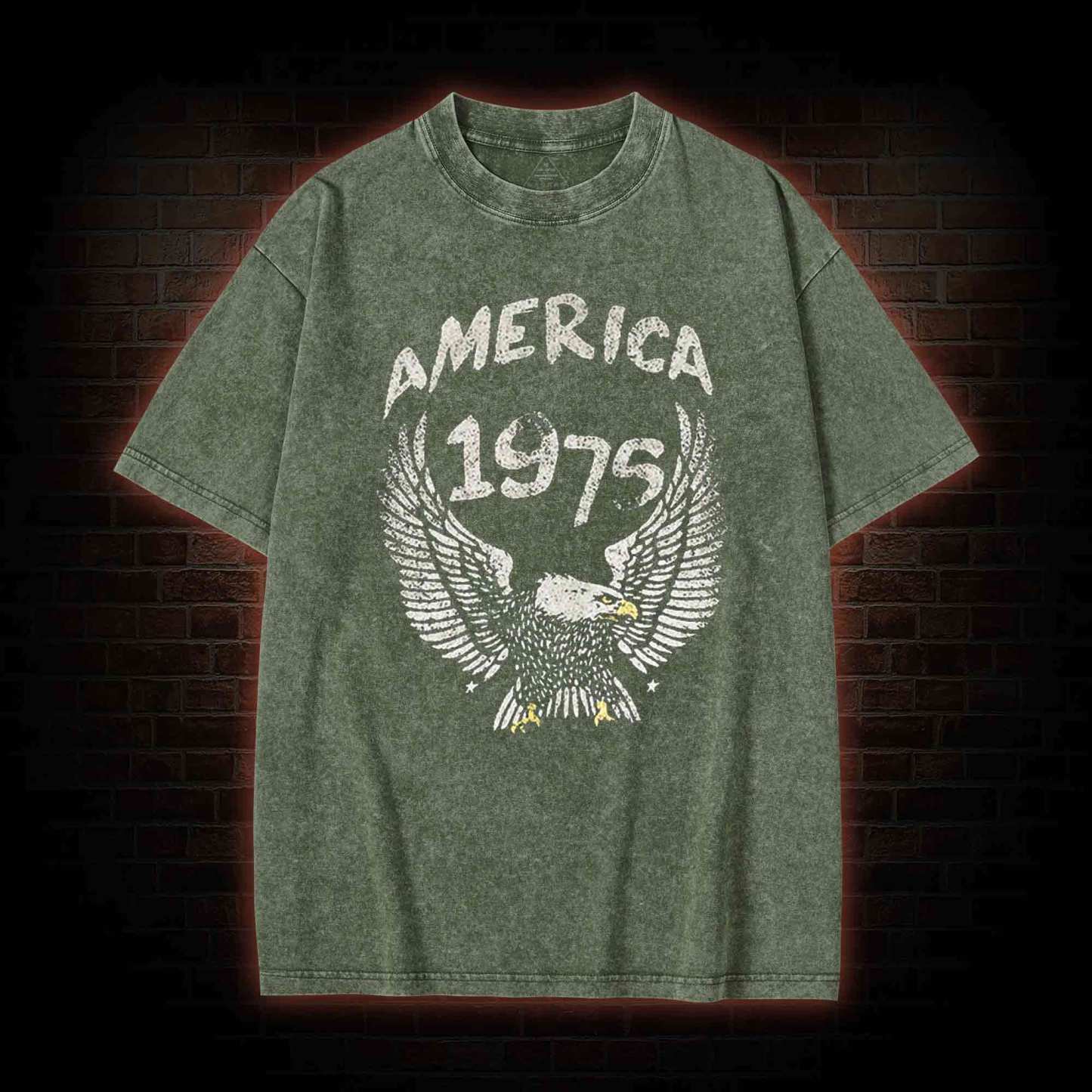 America 1975 Washed T-shirt