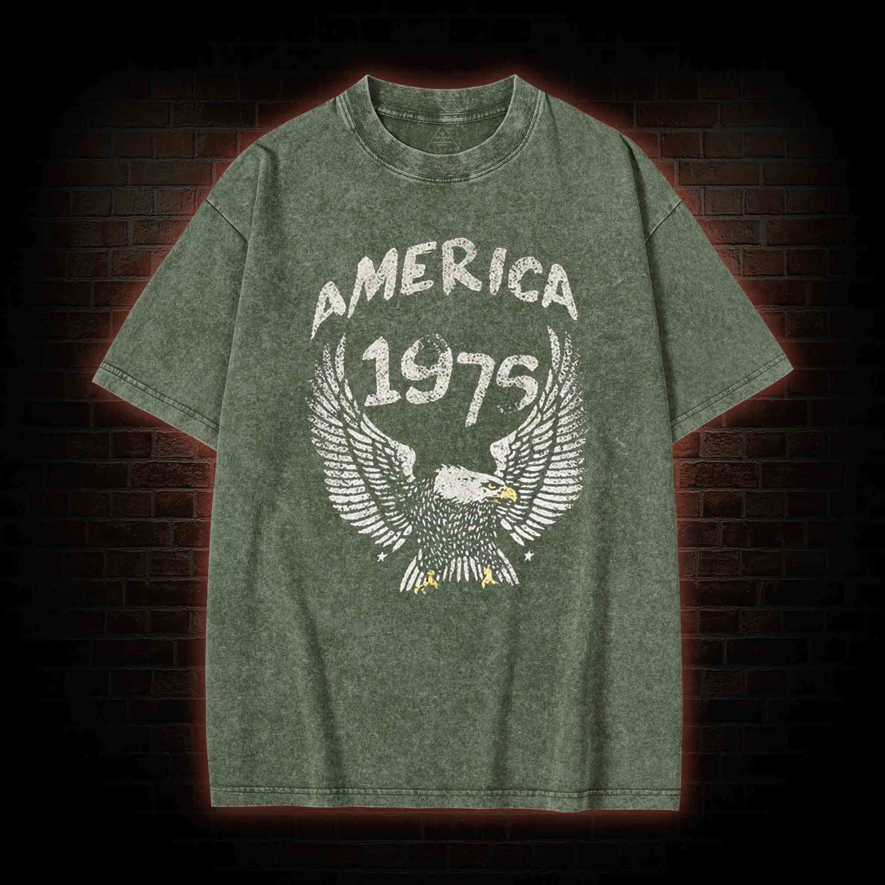 America 1975 Washed T-shirt