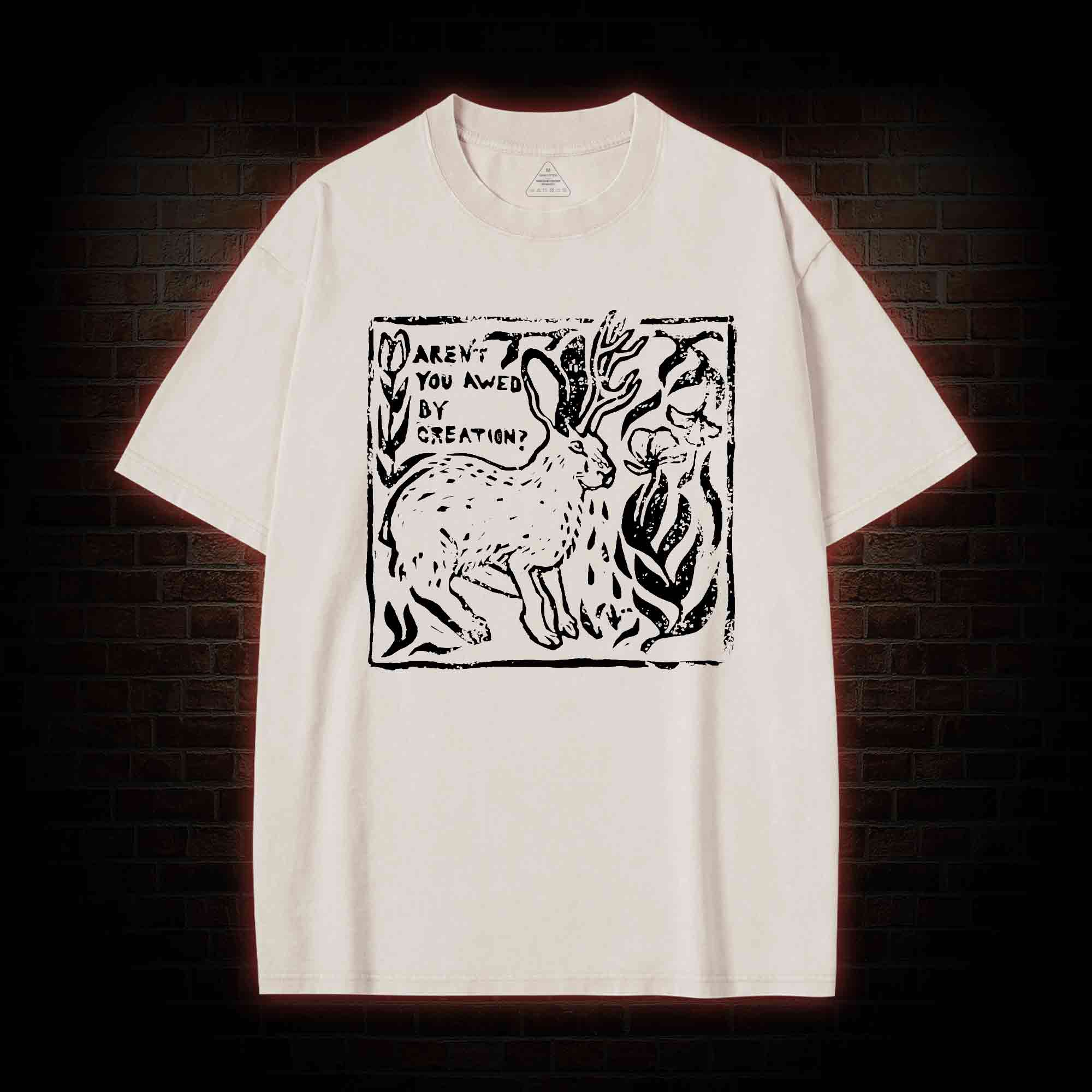 Aren't You Awed by Creation Washed T-shirt