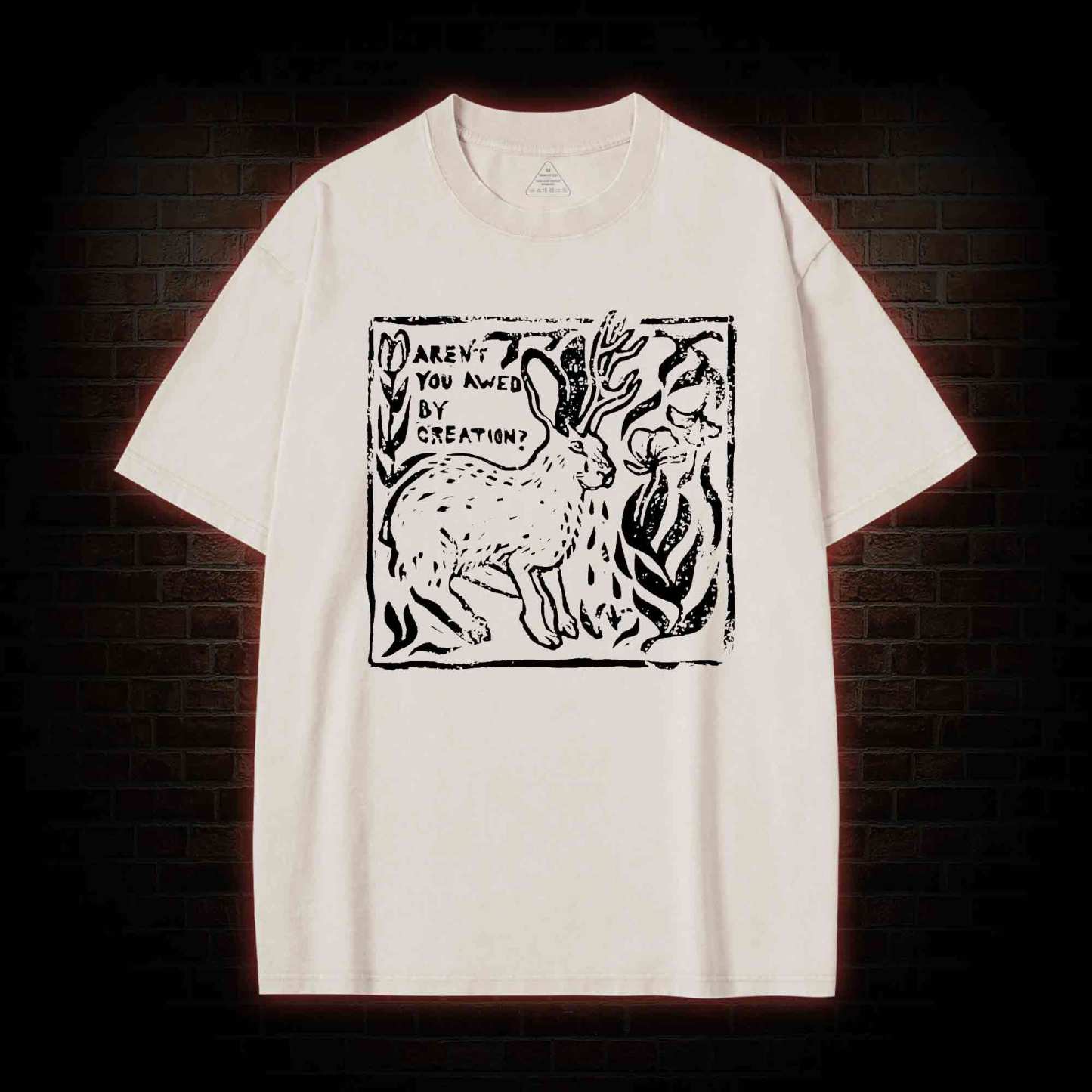 Aren't You Awed by Creation Washed T-shirt