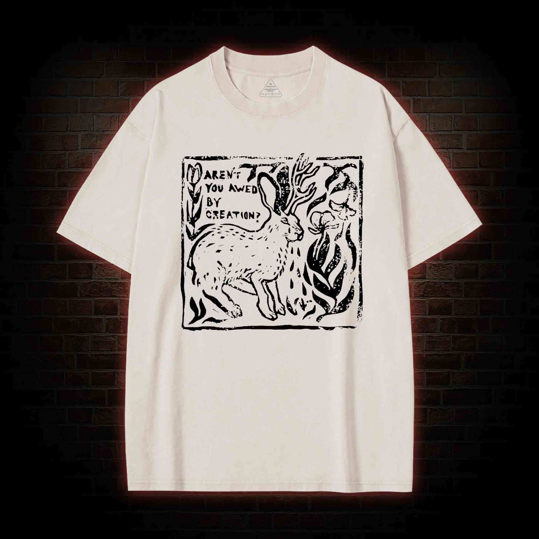 Aren't You Awed by Creation Washed T-shirt