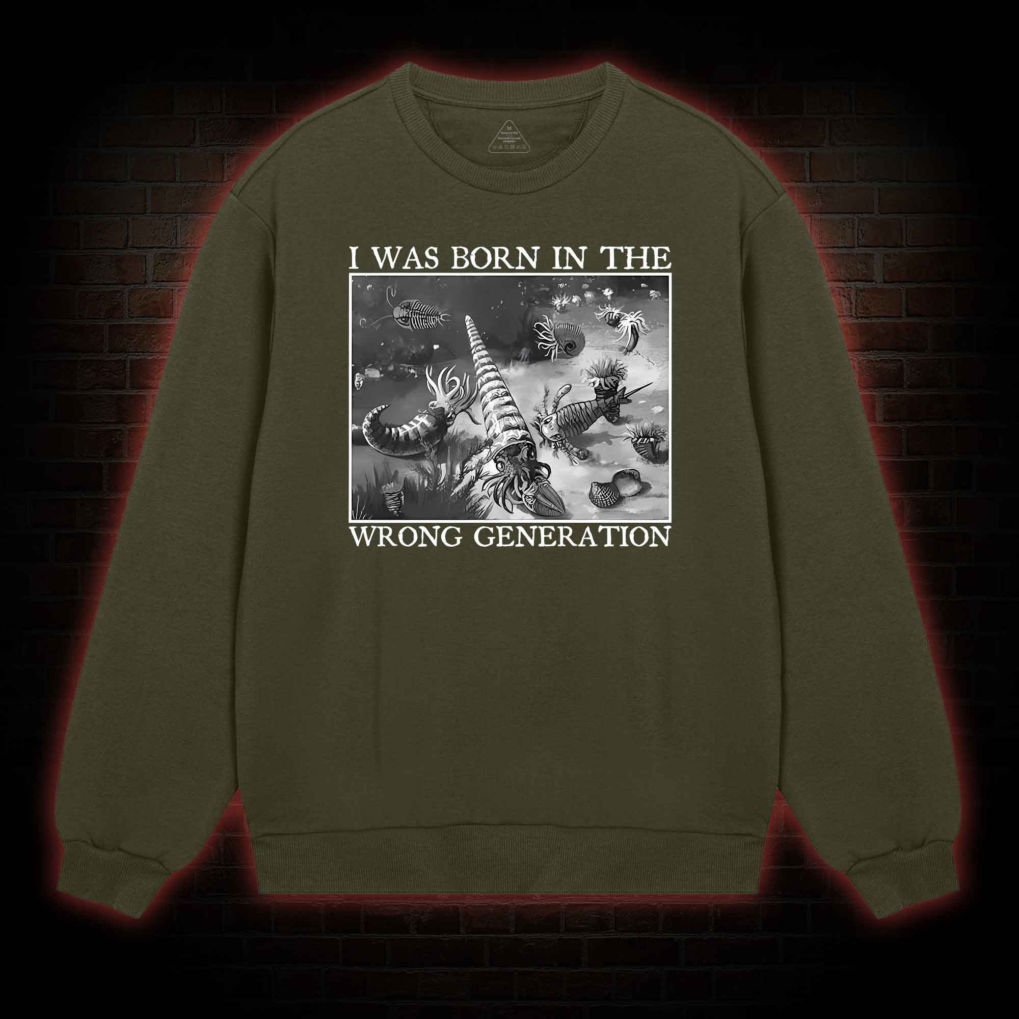 I Was Born In The Wrong Generation Sweatshirt