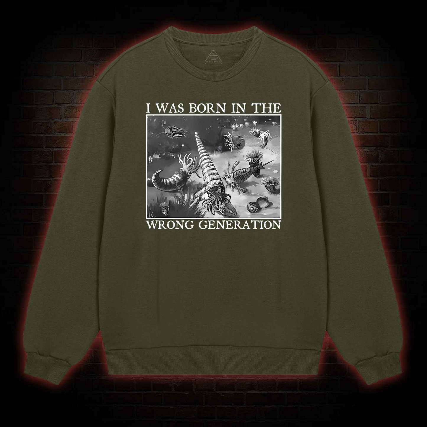 I Was Born In The Wrong Generation Sweatshirt