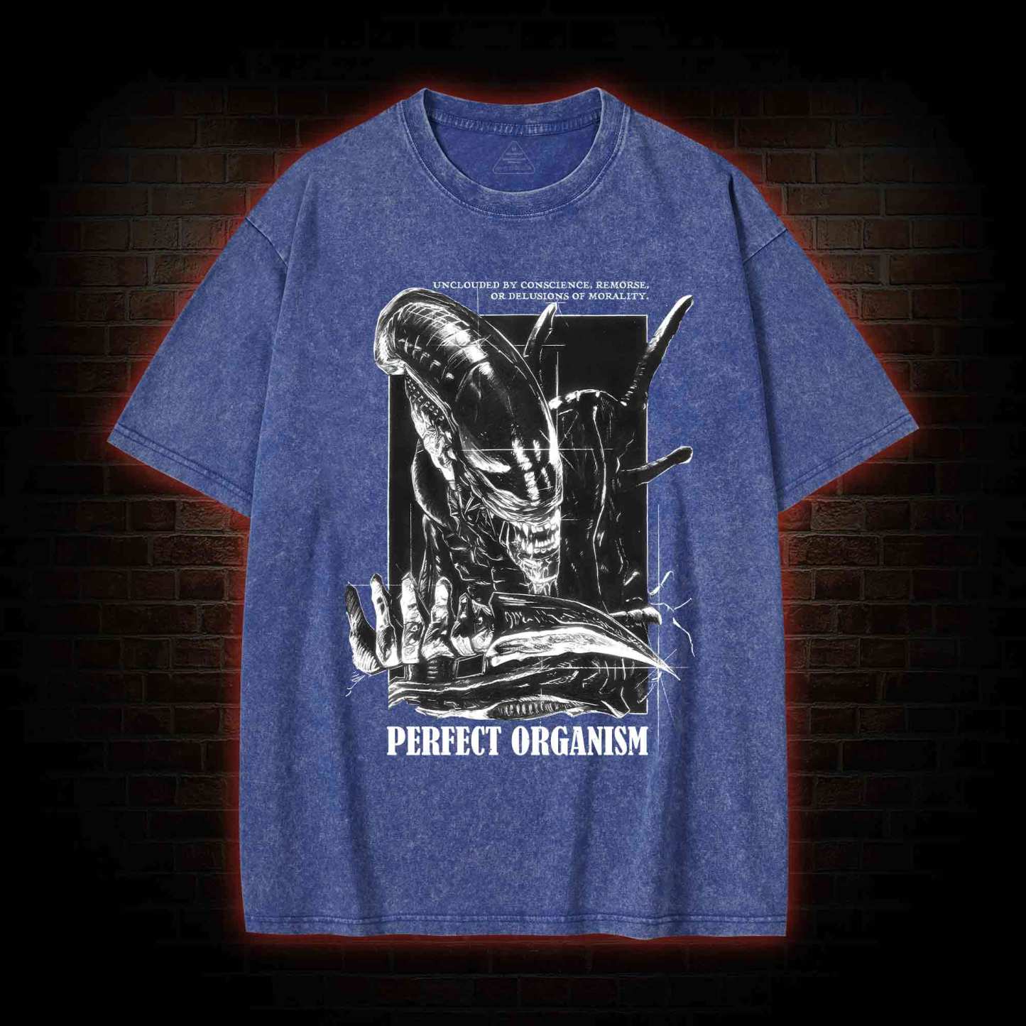 Perfect Organism Retro Washed T-shirt