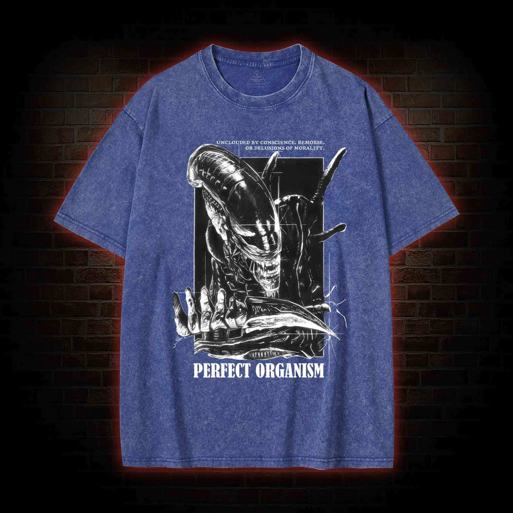 Perfect Organism Retro Washed T-shirt