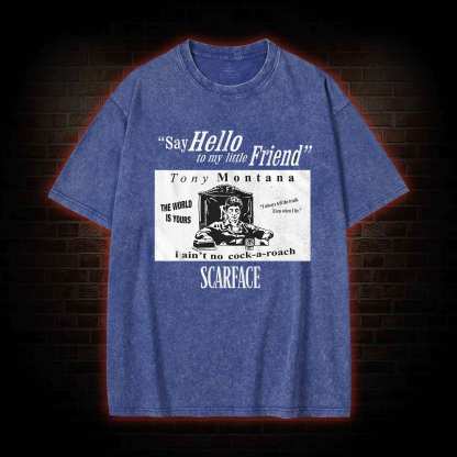 Say Hello to My Little Friend Washed T-shirt