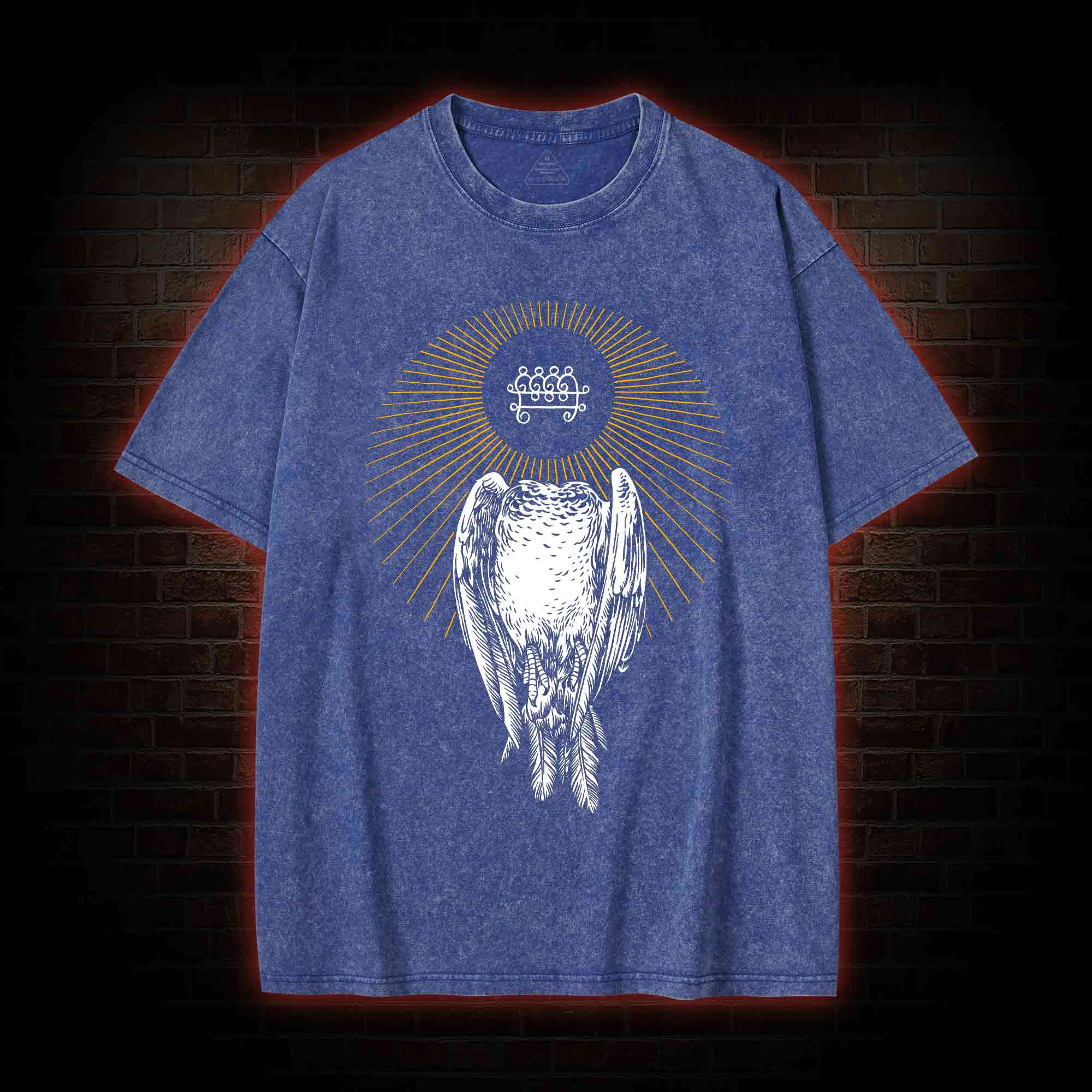 Headless Pigeon Washed T-shirt