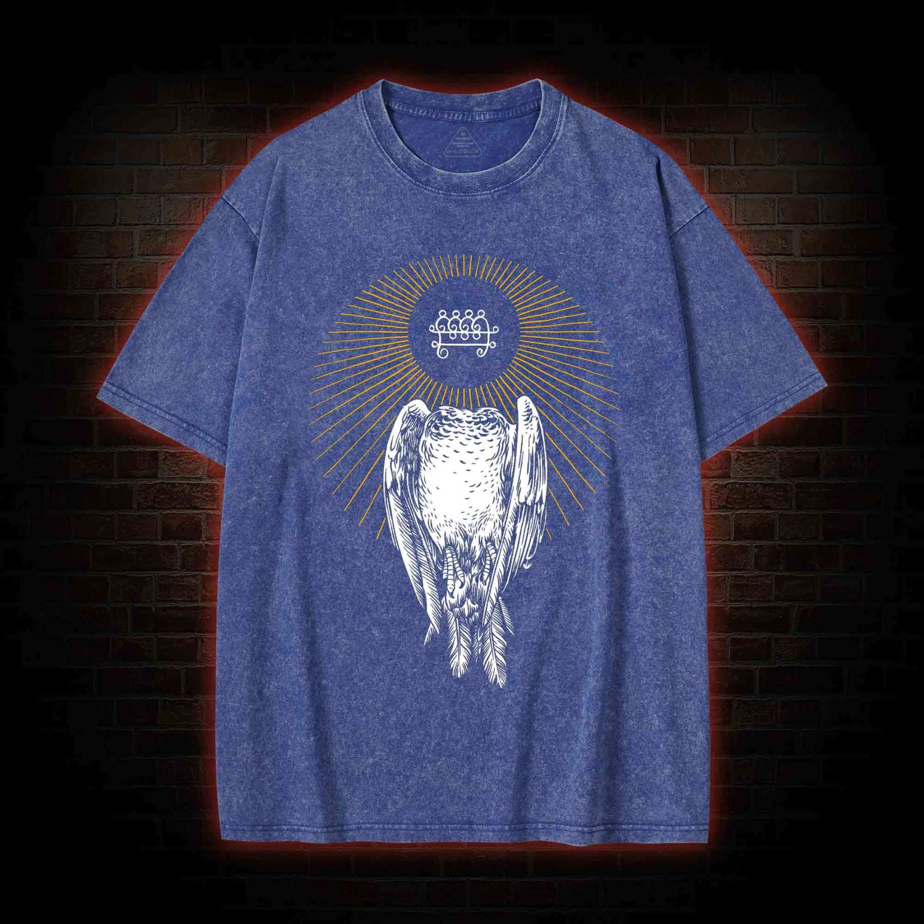 Headless Pigeon Washed T-shirt