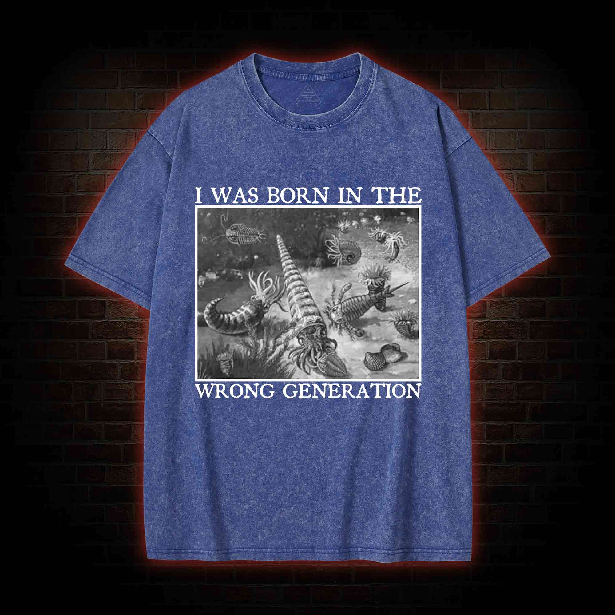 I Was Born In The Wrong Generation Washed T-shirt