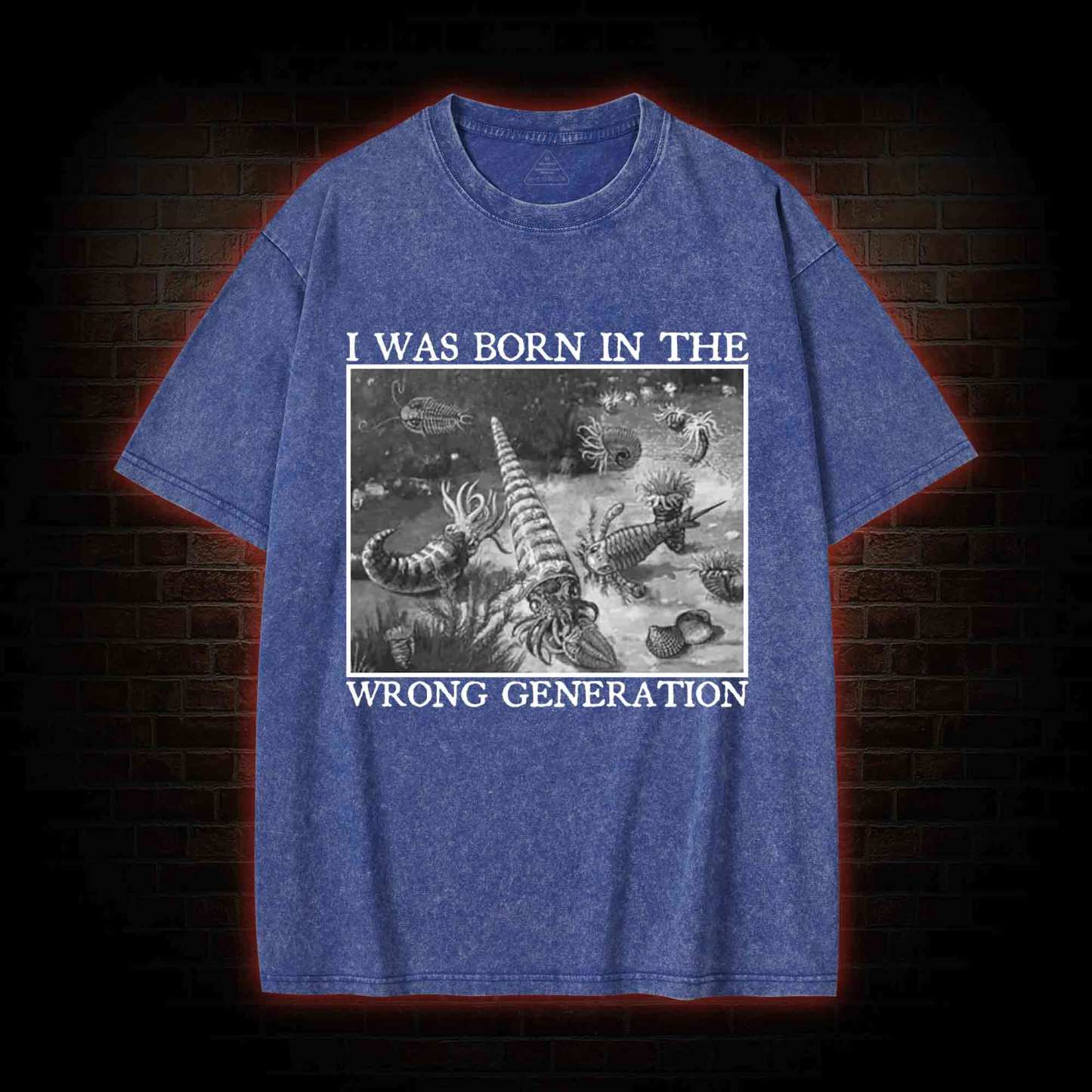 I Was Born In The Wrong Generation Washed T-shirt