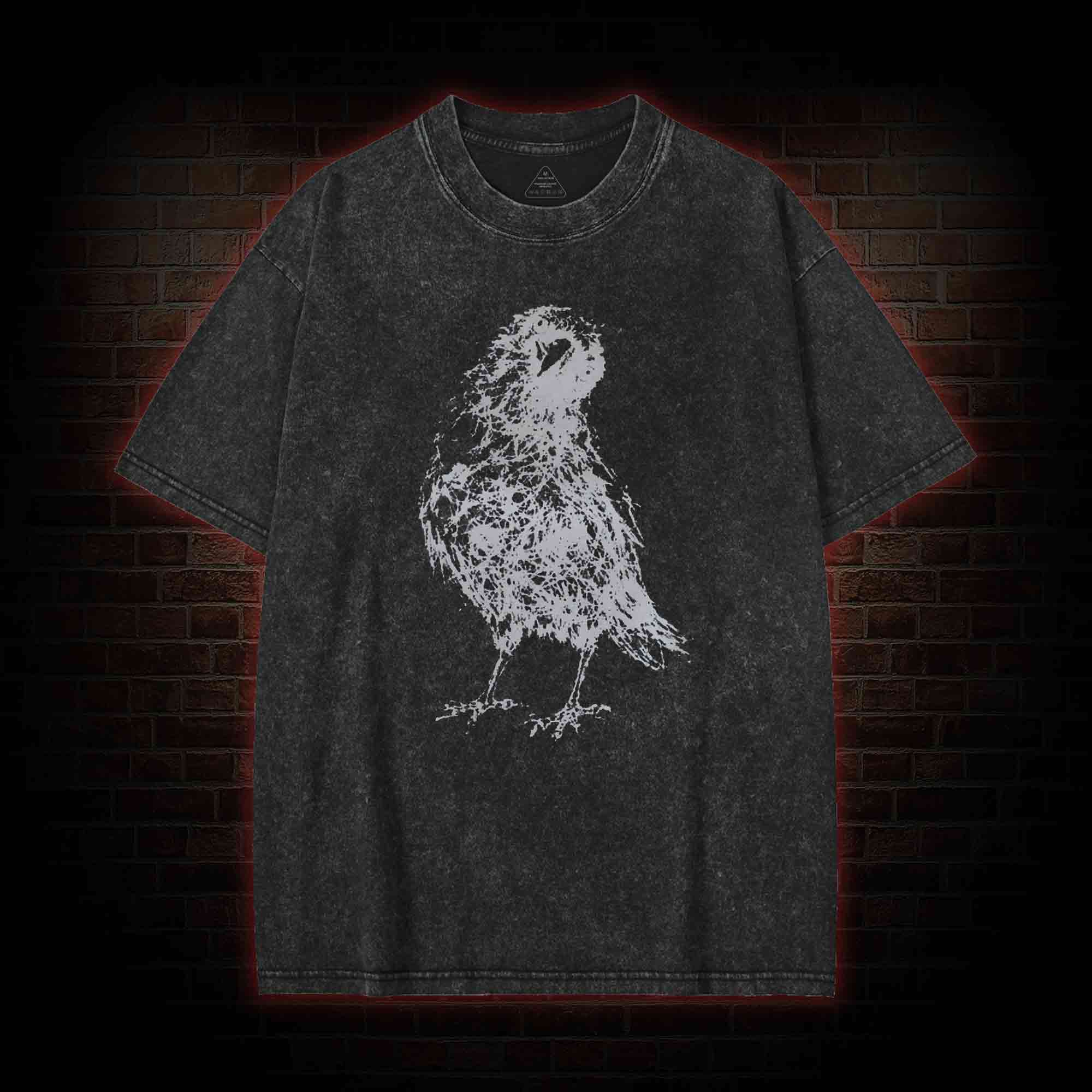 Raven Washed T-shirt