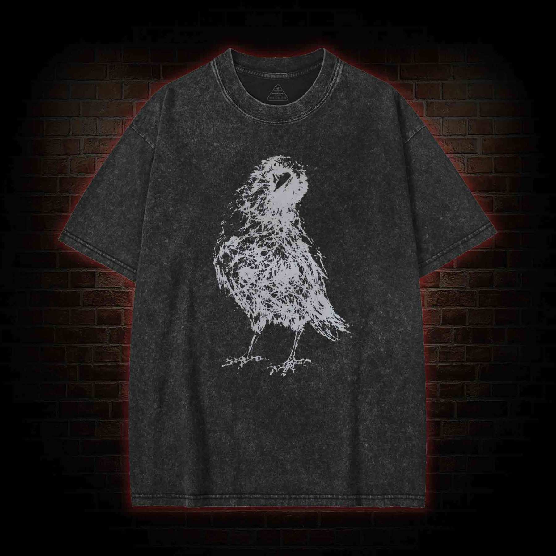 Raven Washed T-shirt