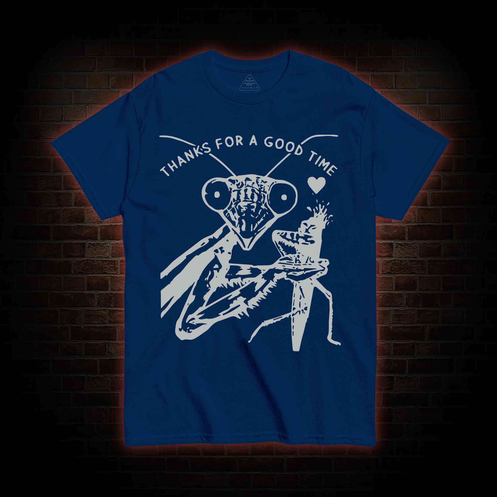 Thanks For A Good Time T-shirt