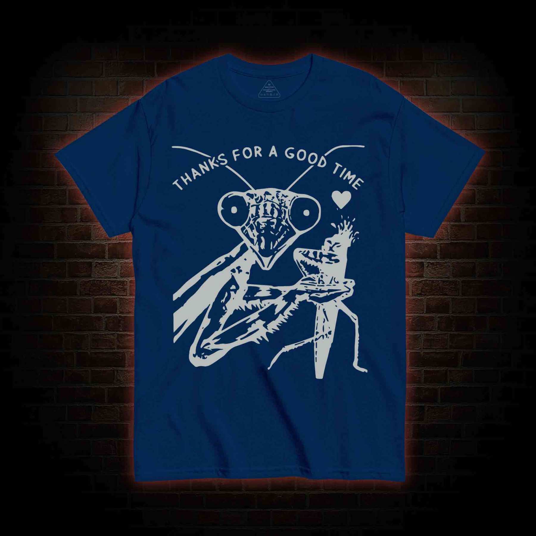 Thanks For A Good Time T-shirt