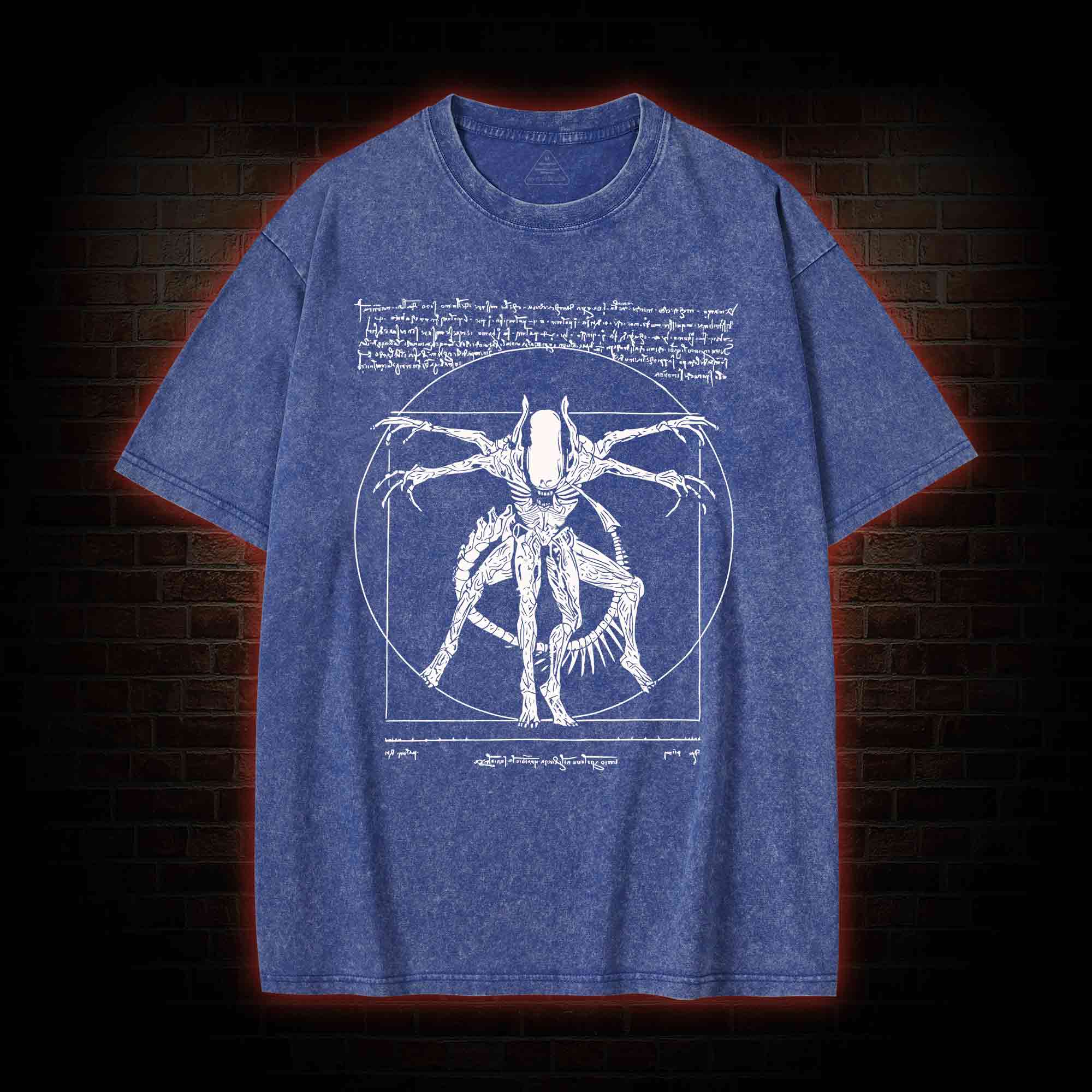 Alien Washed T-shirt