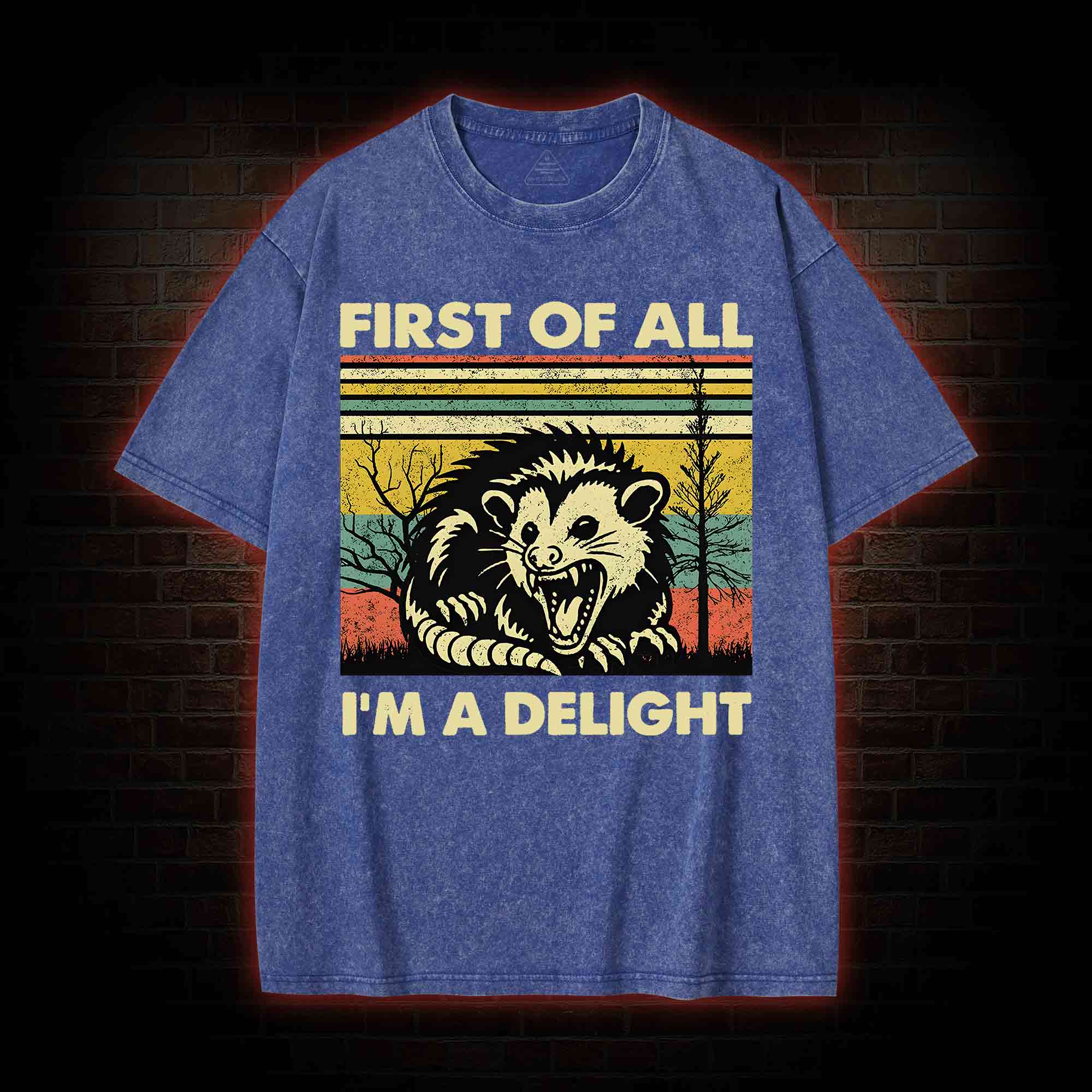 I'm A Delight Washed T-shirt