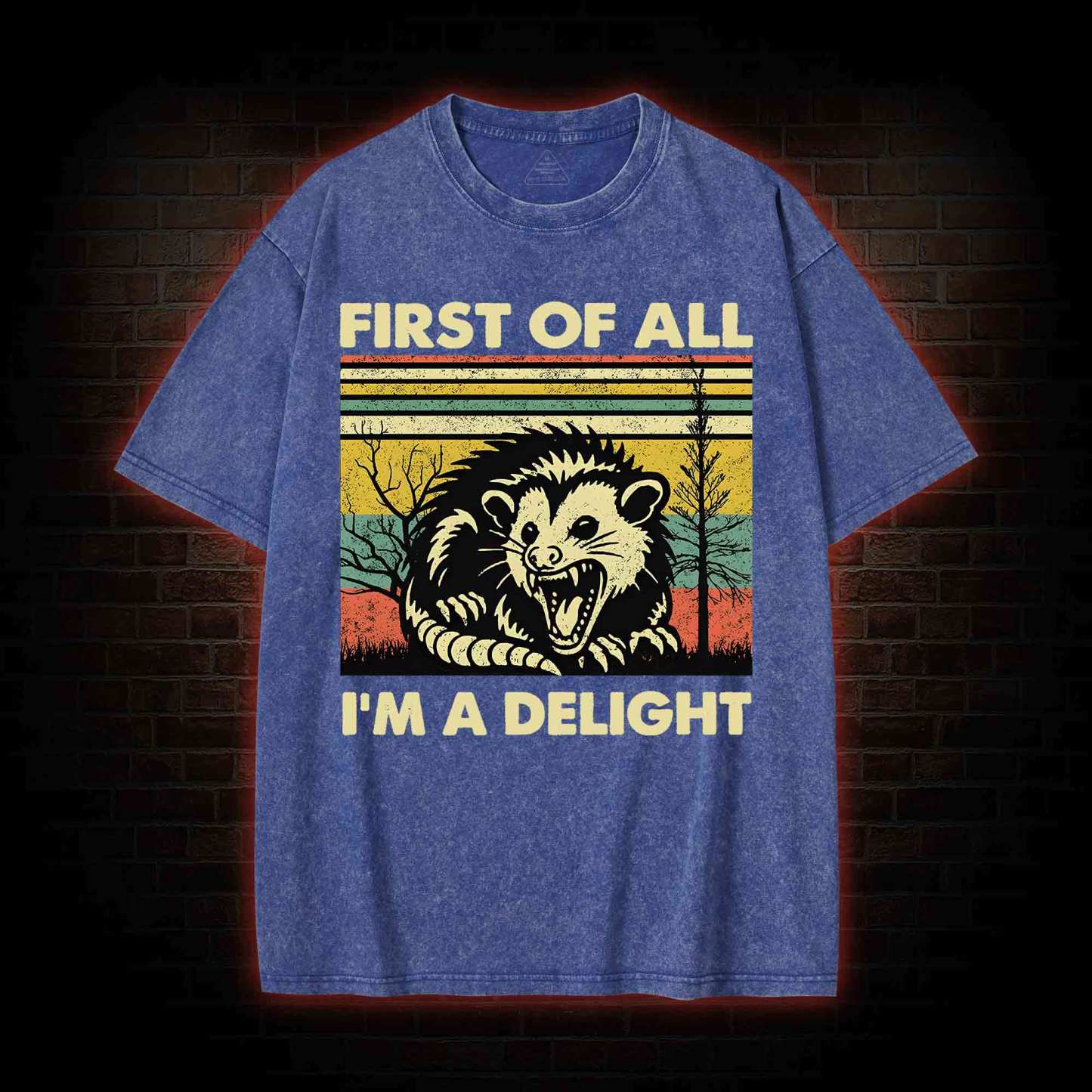 I'm A Delight Washed T-shirt
