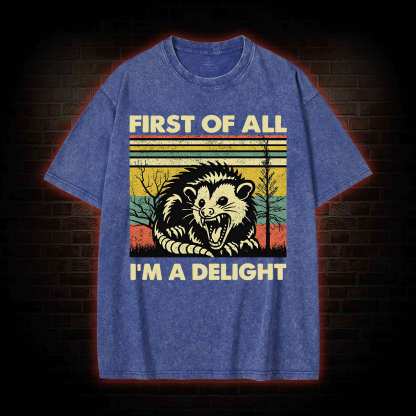 I'm A Delight Washed T-shirt