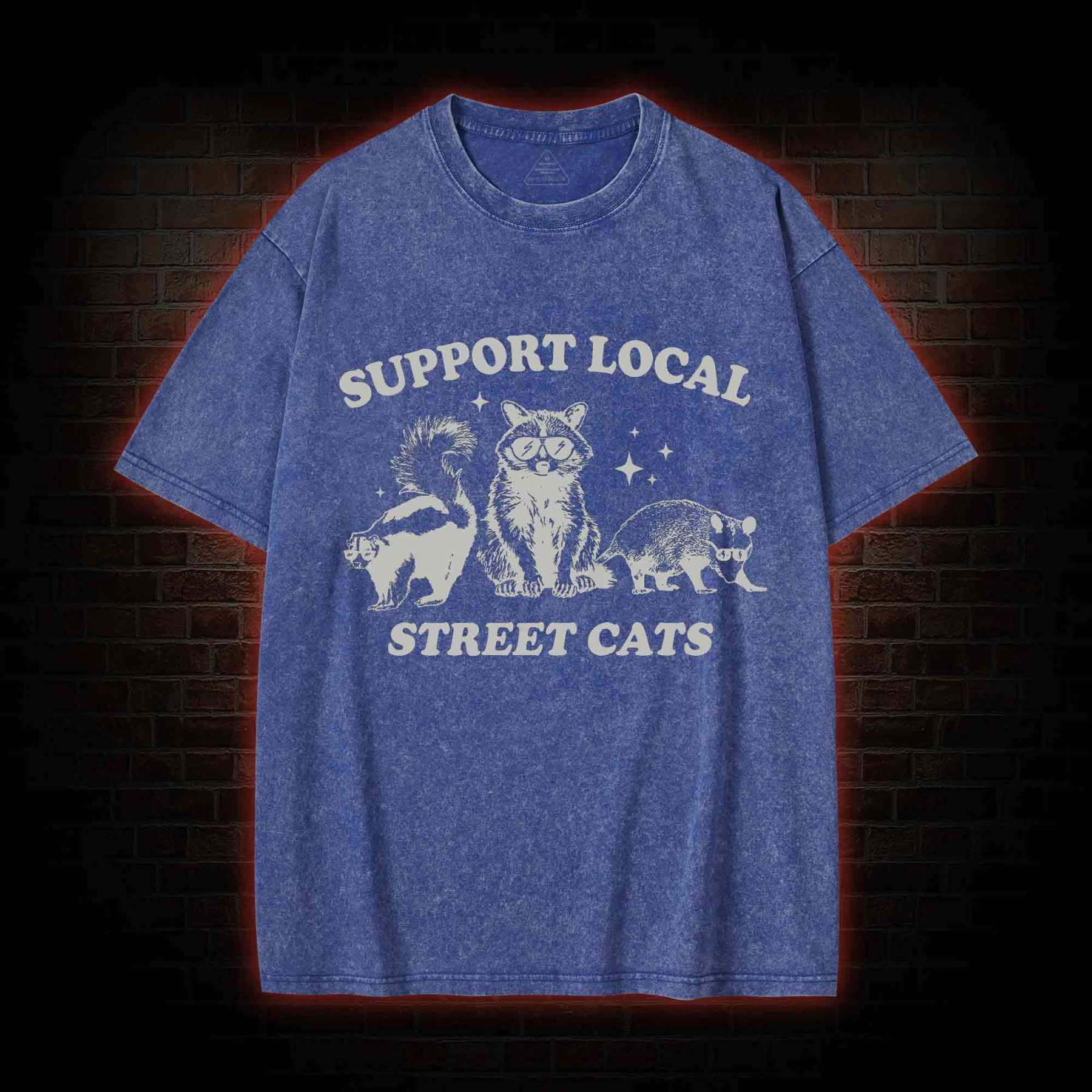 Support Local Street Cats Washed T-shirt