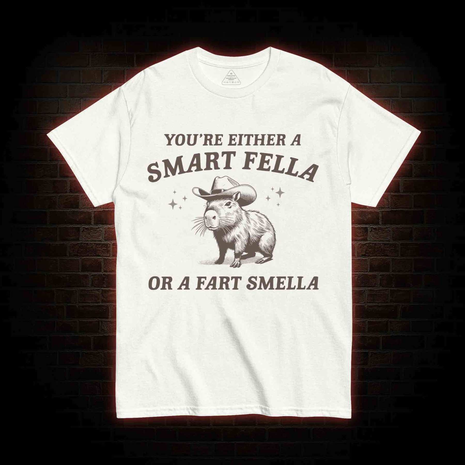 Smart Fella Or Fart Smella T-shirt