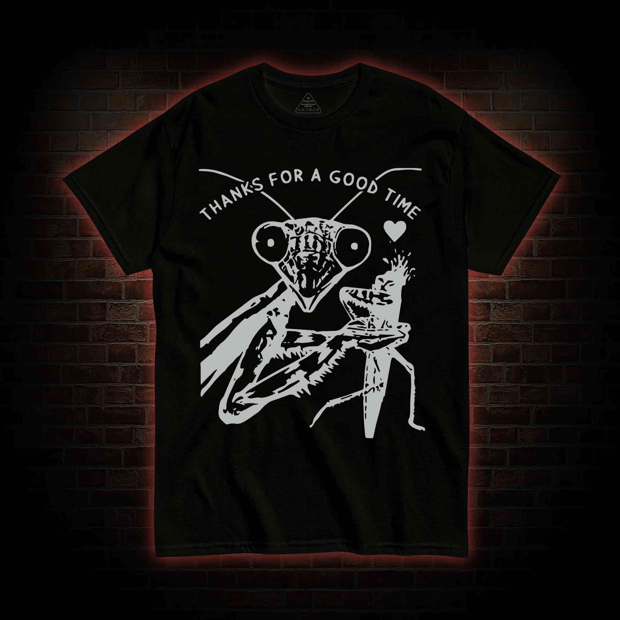 Thanks For A Good Time T-shirt