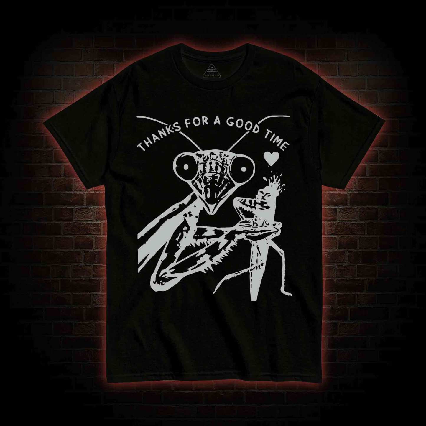 Thanks For A Good Time T-shirt