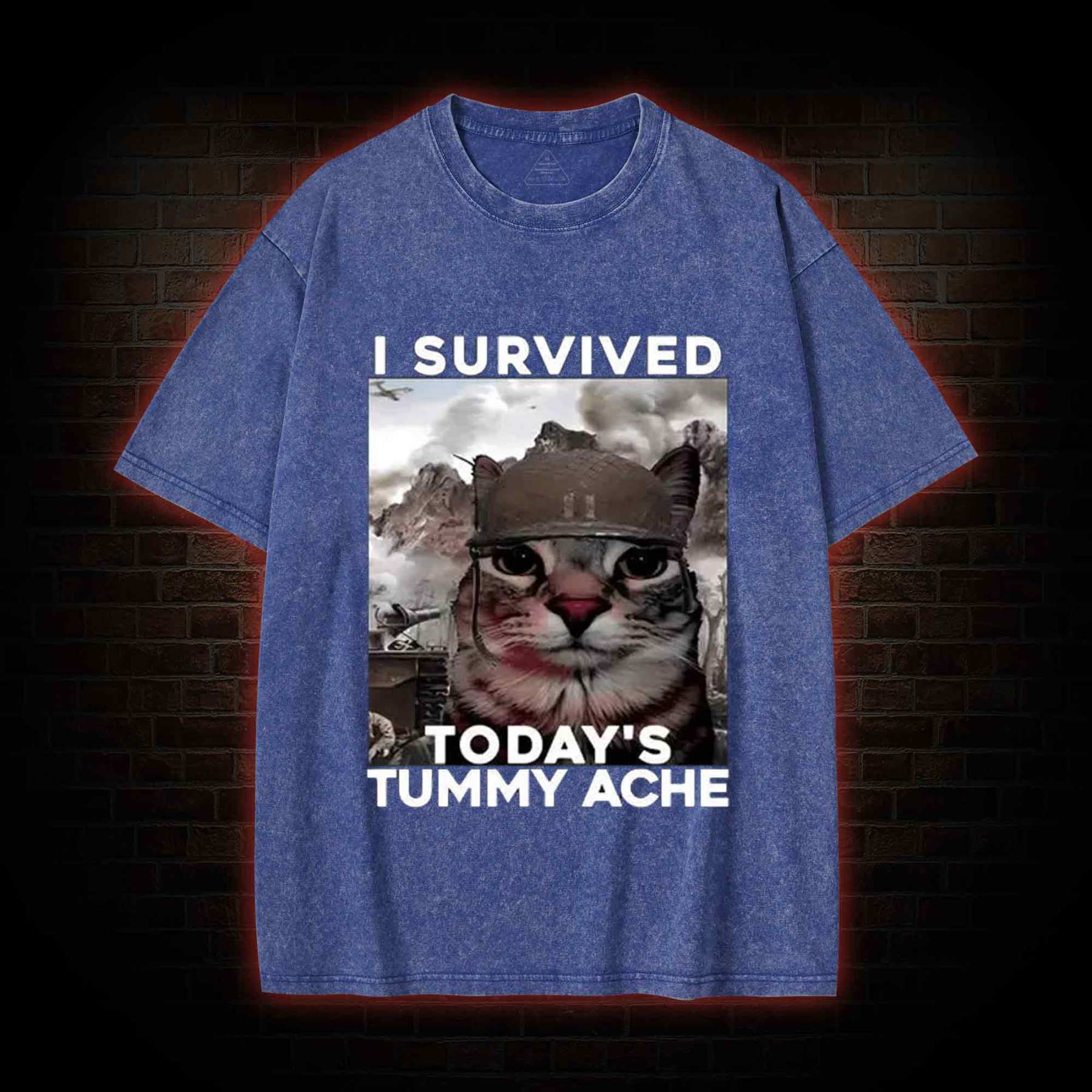 I Survived Today's Tummy Ache Washed T-shirt